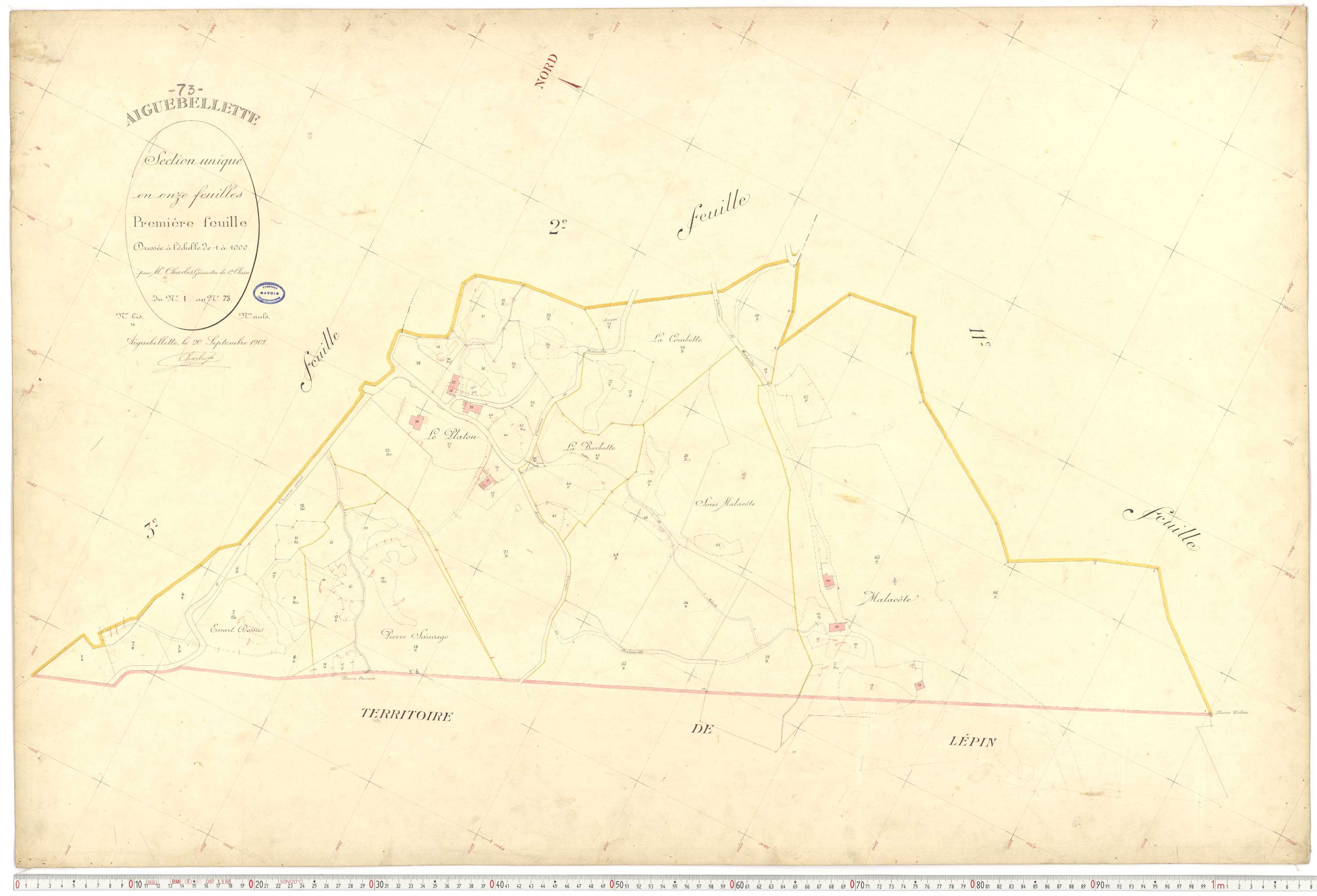 Aiguebelette-le-Lac - Cadastre français (1910).