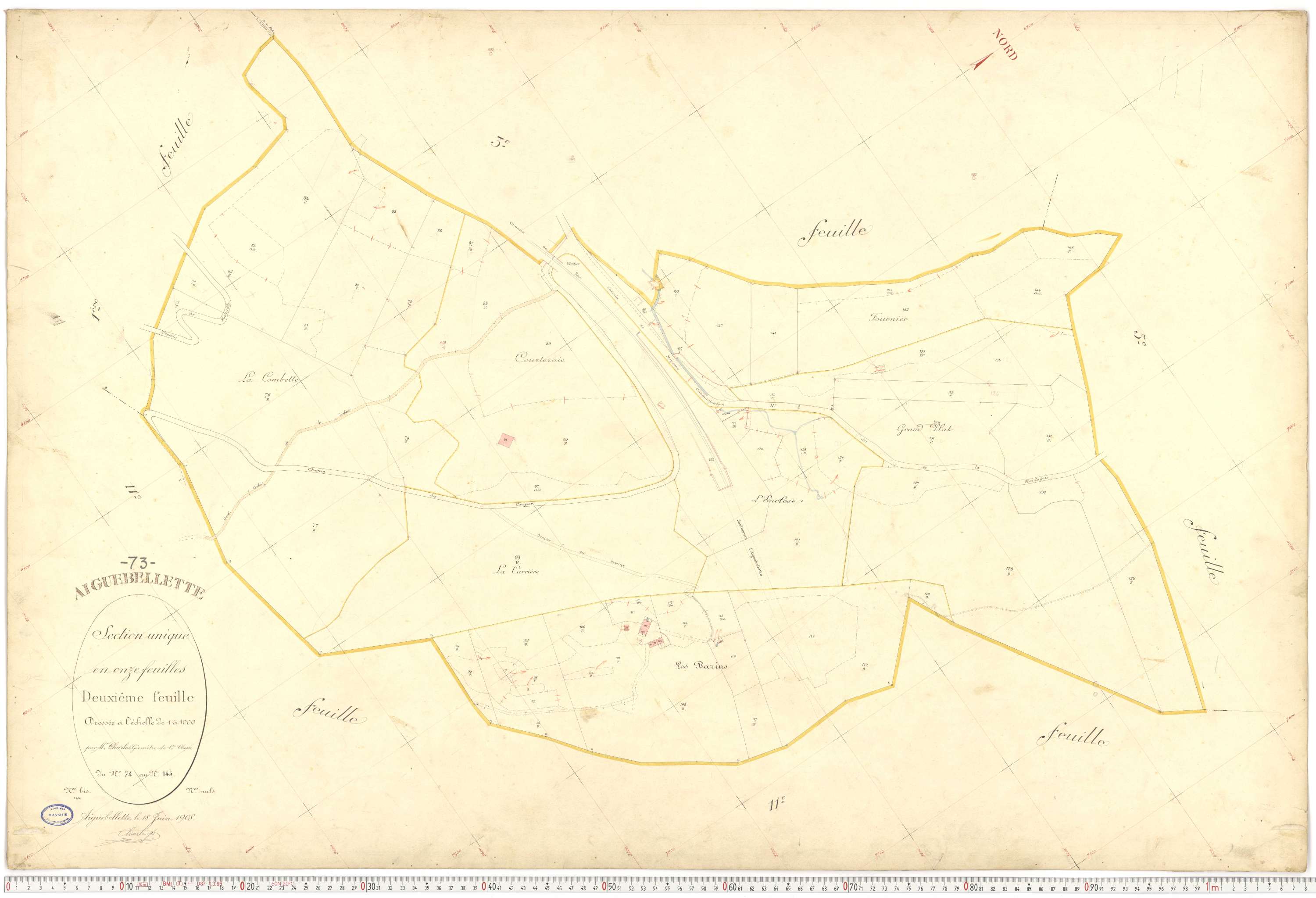 Aiguebelette-le-Lac - Cadastre français (1910).