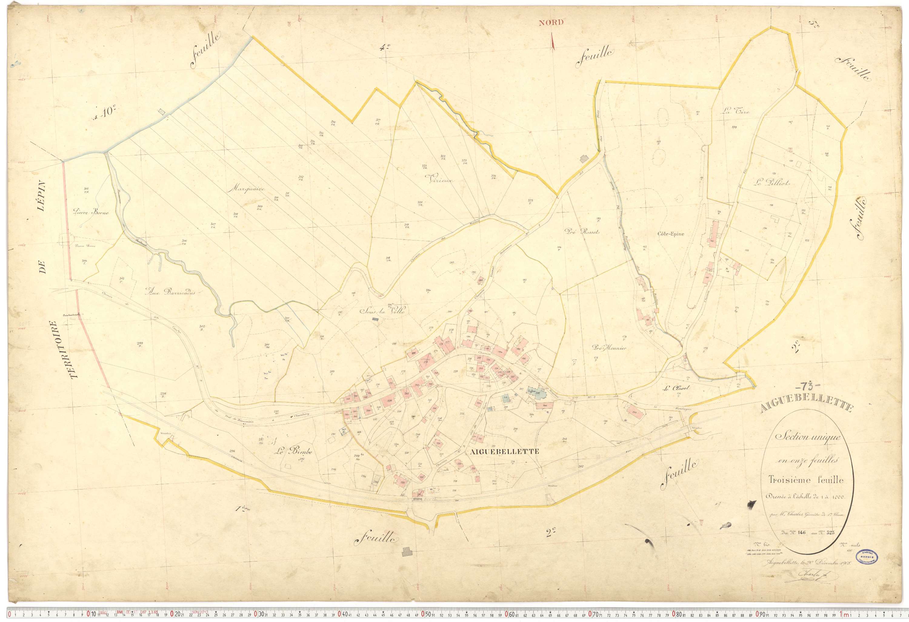 Aiguebelette-le-Lac - Cadastre français (1910).