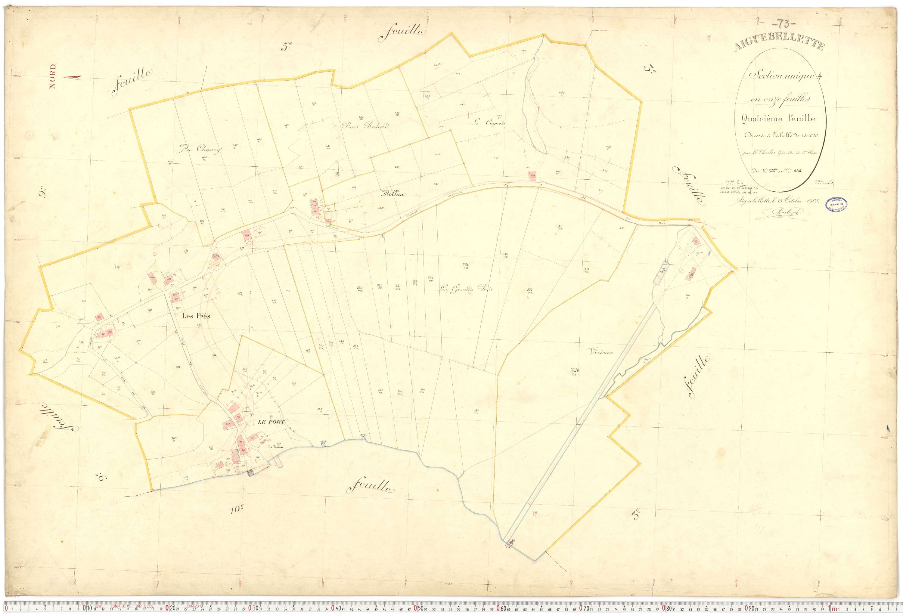 Aiguebelette-le-Lac - Cadastre français (1910).
