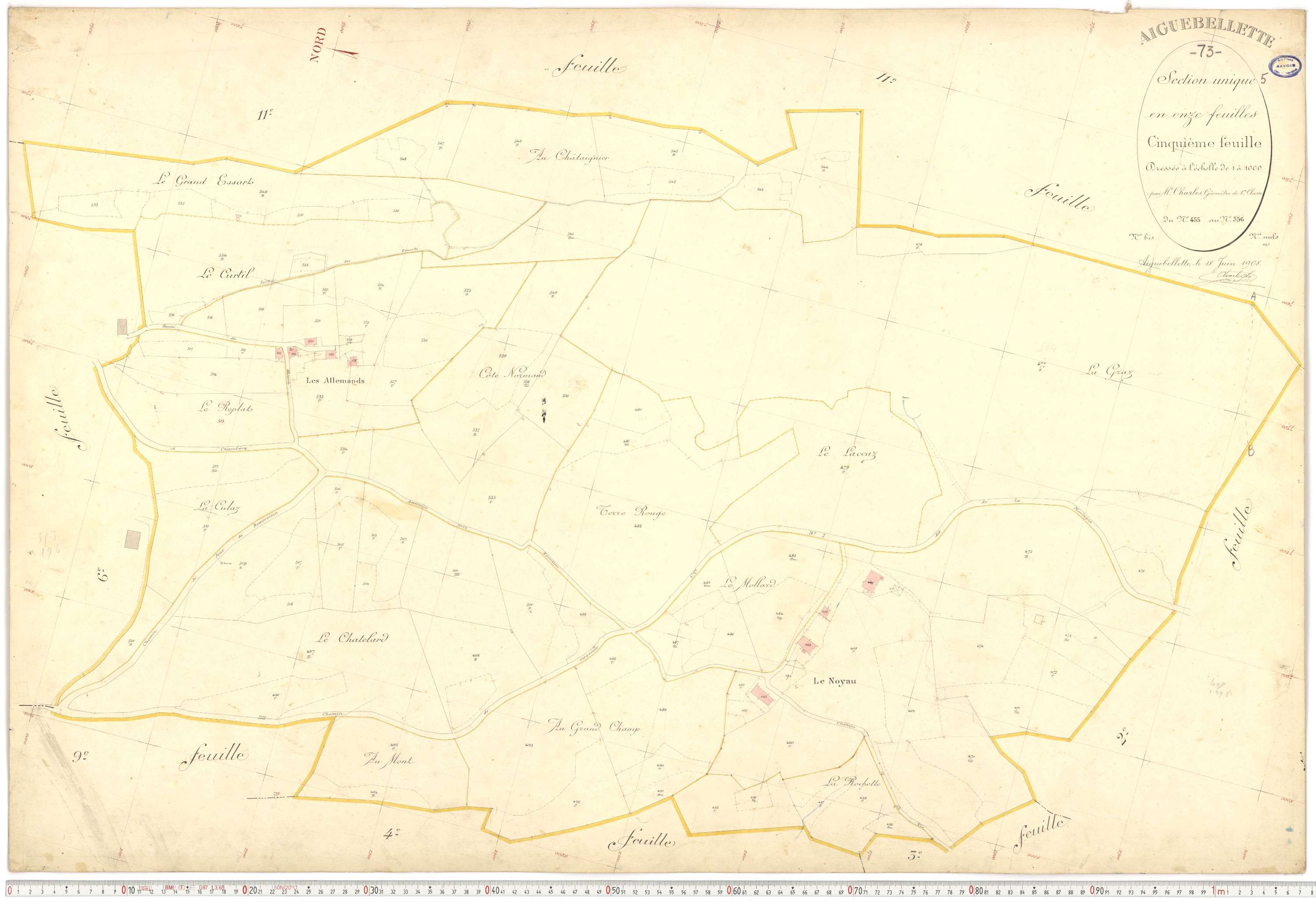 Aiguebelette-le-Lac - Cadastre français (1910).