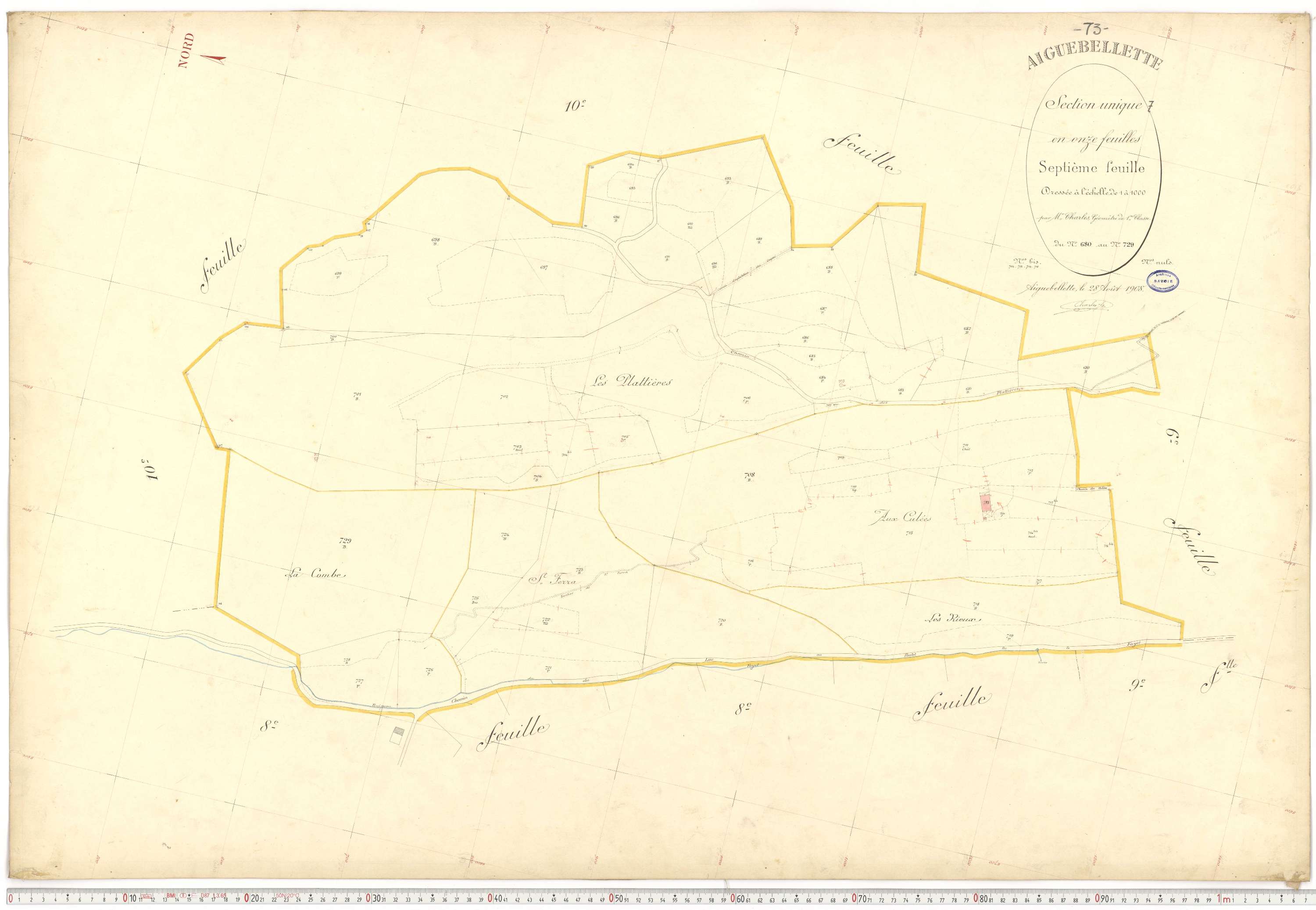 Aiguebelette-le-Lac - Cadastre français (1910).