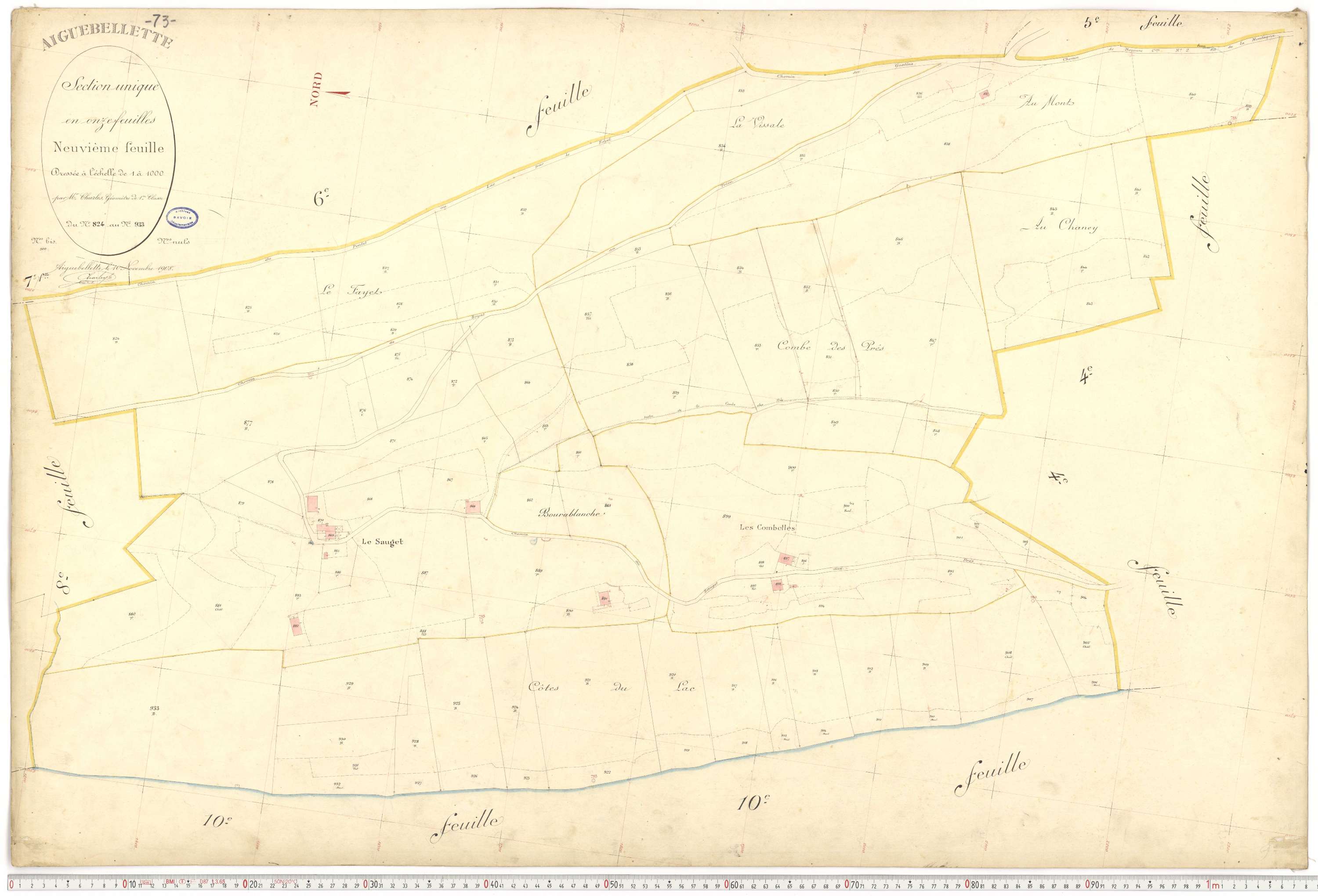 Aiguebelette-le-Lac - Cadastre français (1910).