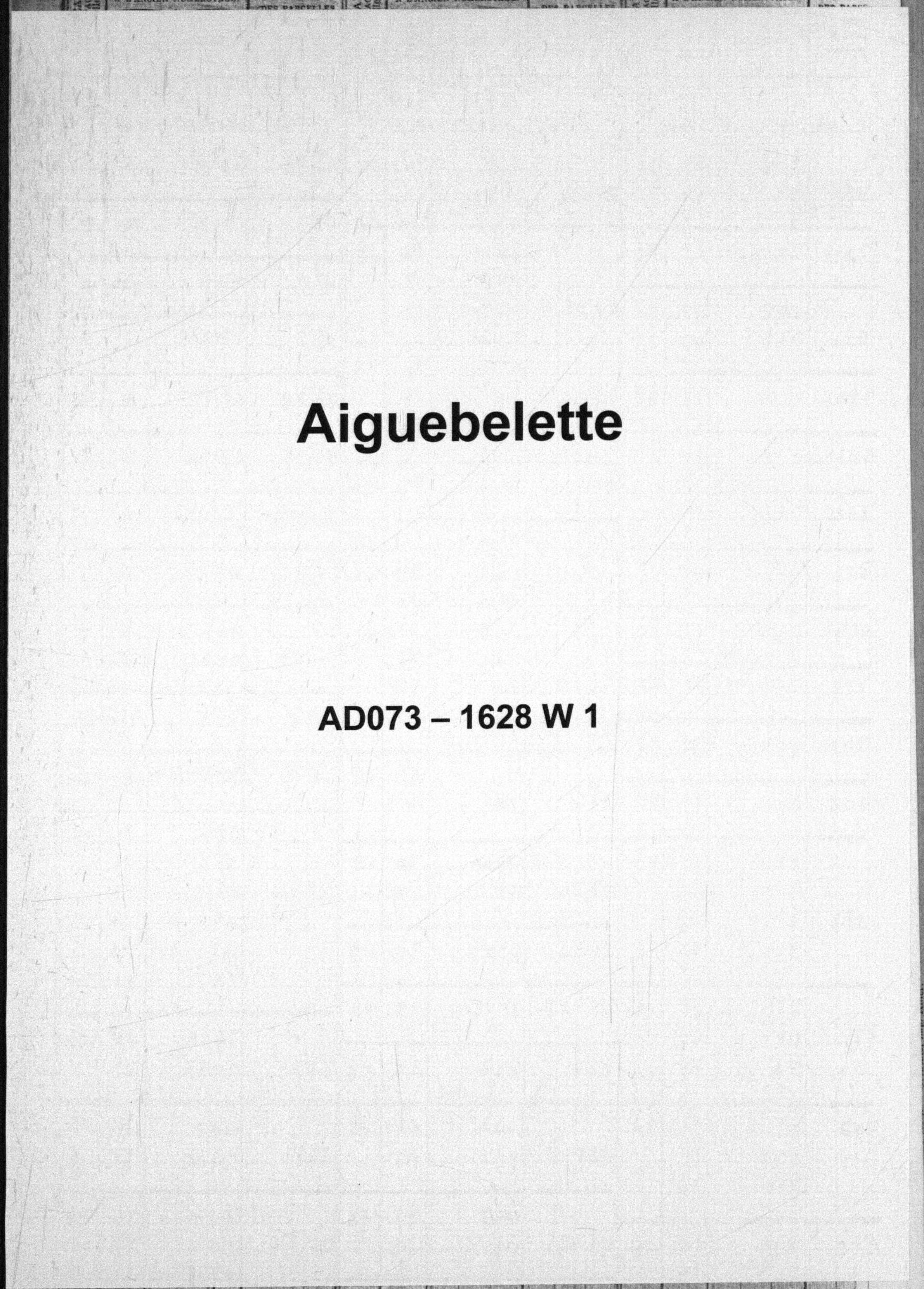 Aiguebelette-le-Lac - Aiguebelette.