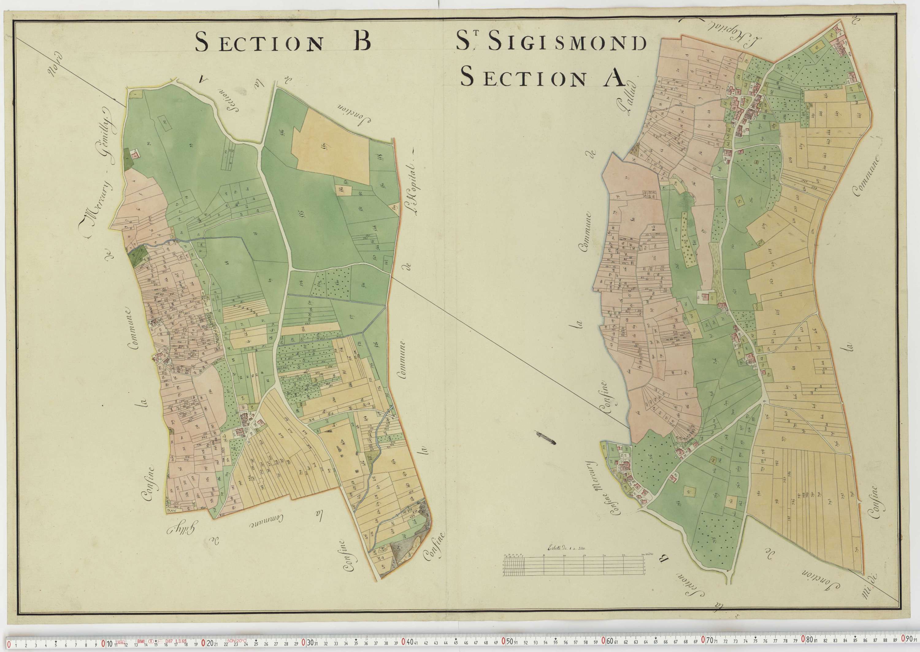 Aiguebelle - Cadastre napoléonien : plan cadastral. - Notre-Dame-des-Millières, Pallud, Plancherine, Saint-Sigismond, Thénésol, Tournon, Verrens-Arvey, Saint-Vital.