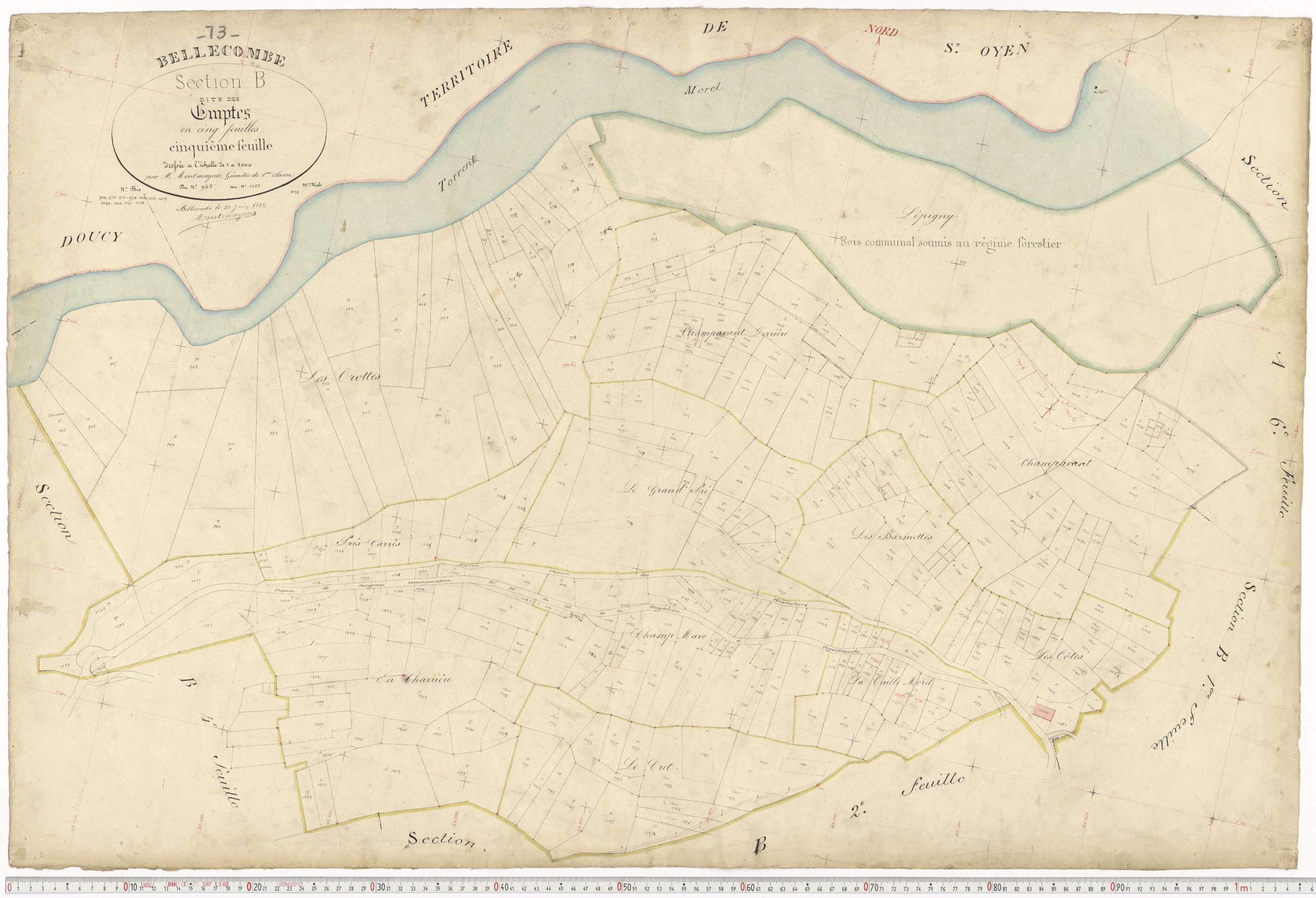 Aigueblanche - Plans cadastraux du premier cadastre français.
