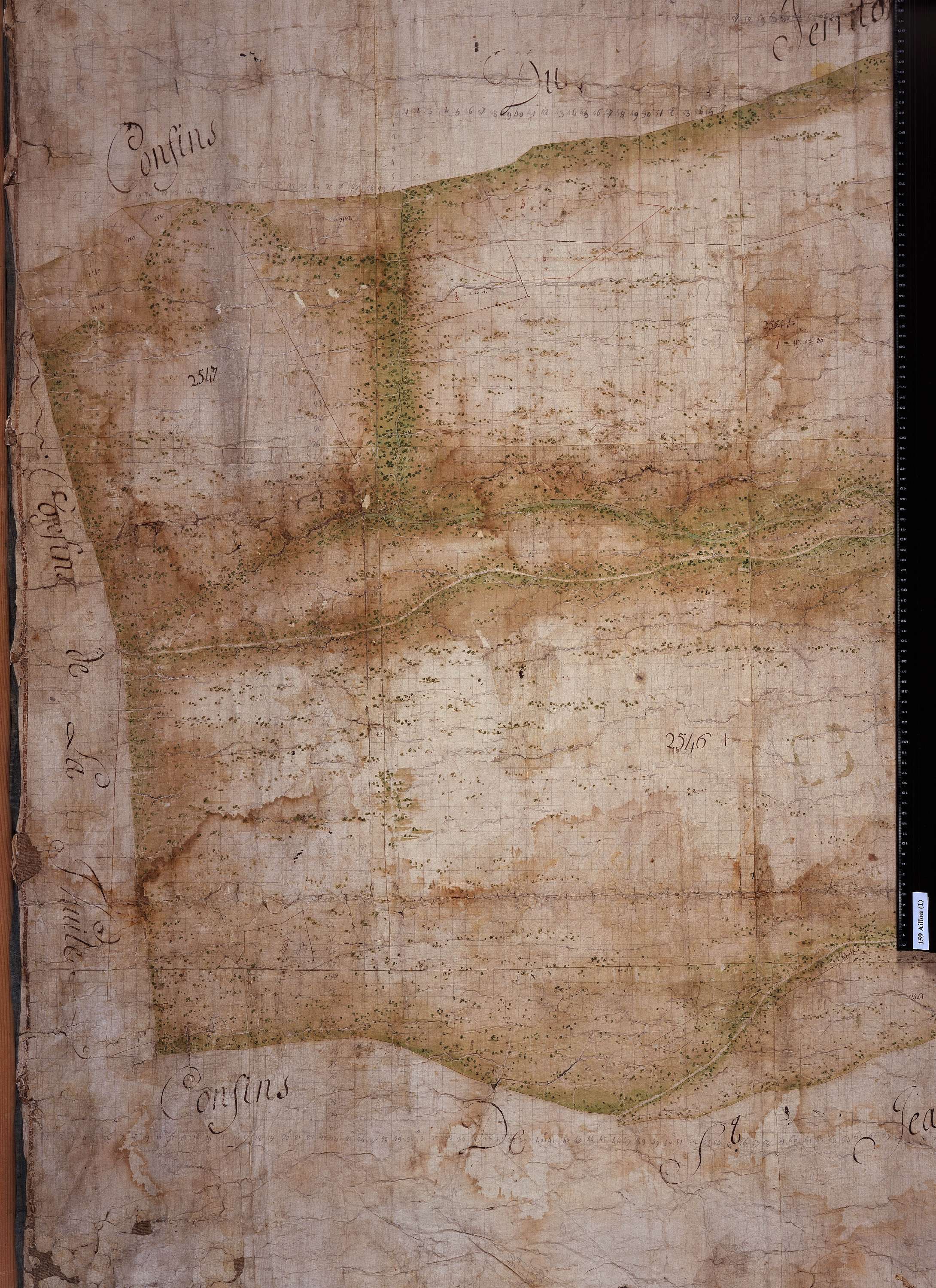 Aillon-le-Jeune - Copie de la mappe originale (plan cadastral) de la commune d’Aillon. Signée : Cocelli, directeur du bureau de la péréquation générale.