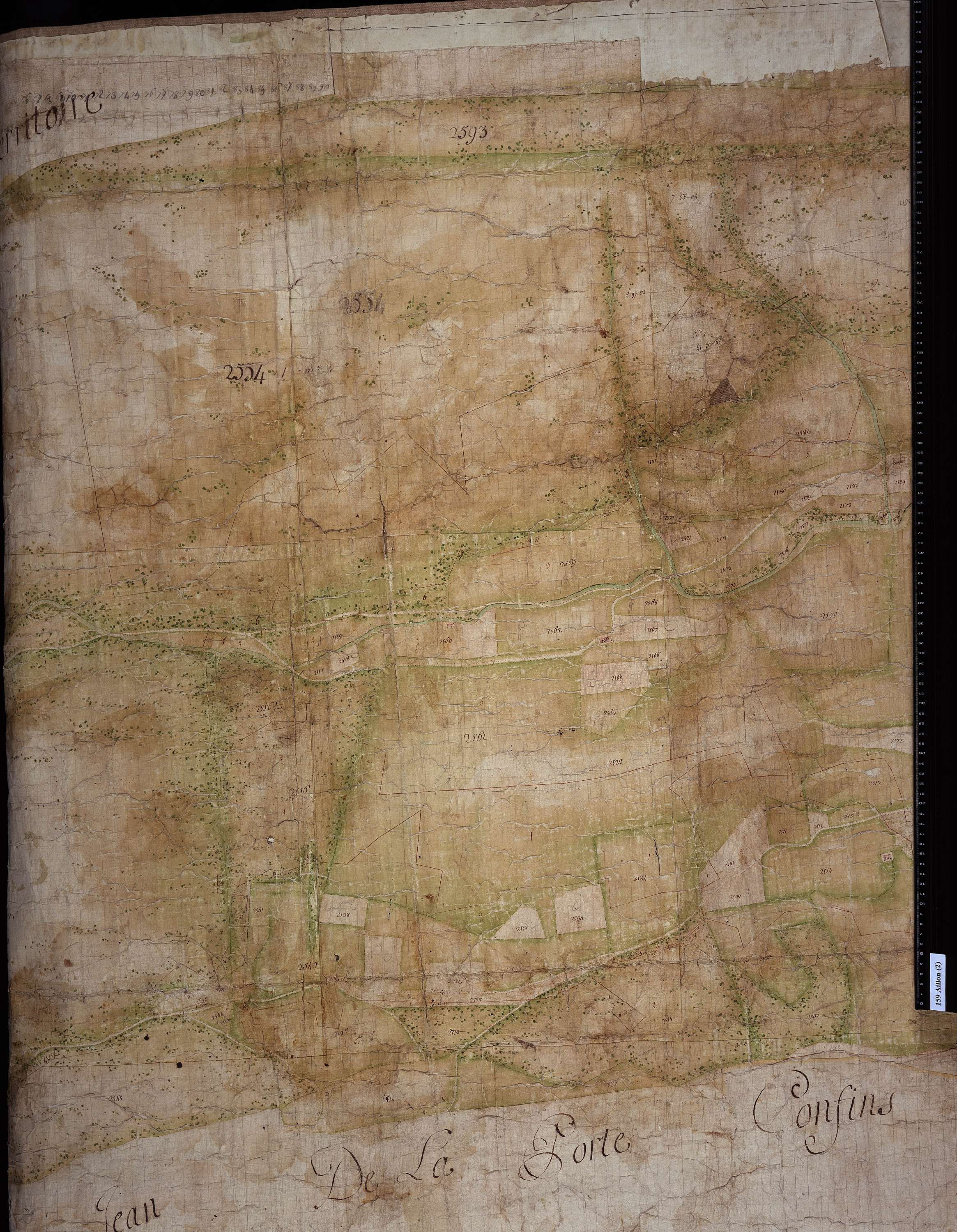 Aillon-le-Jeune - Copie de la mappe originale (plan cadastral) de la commune d’Aillon. Signée : Cocelli, directeur du bureau de la péréquation générale.
