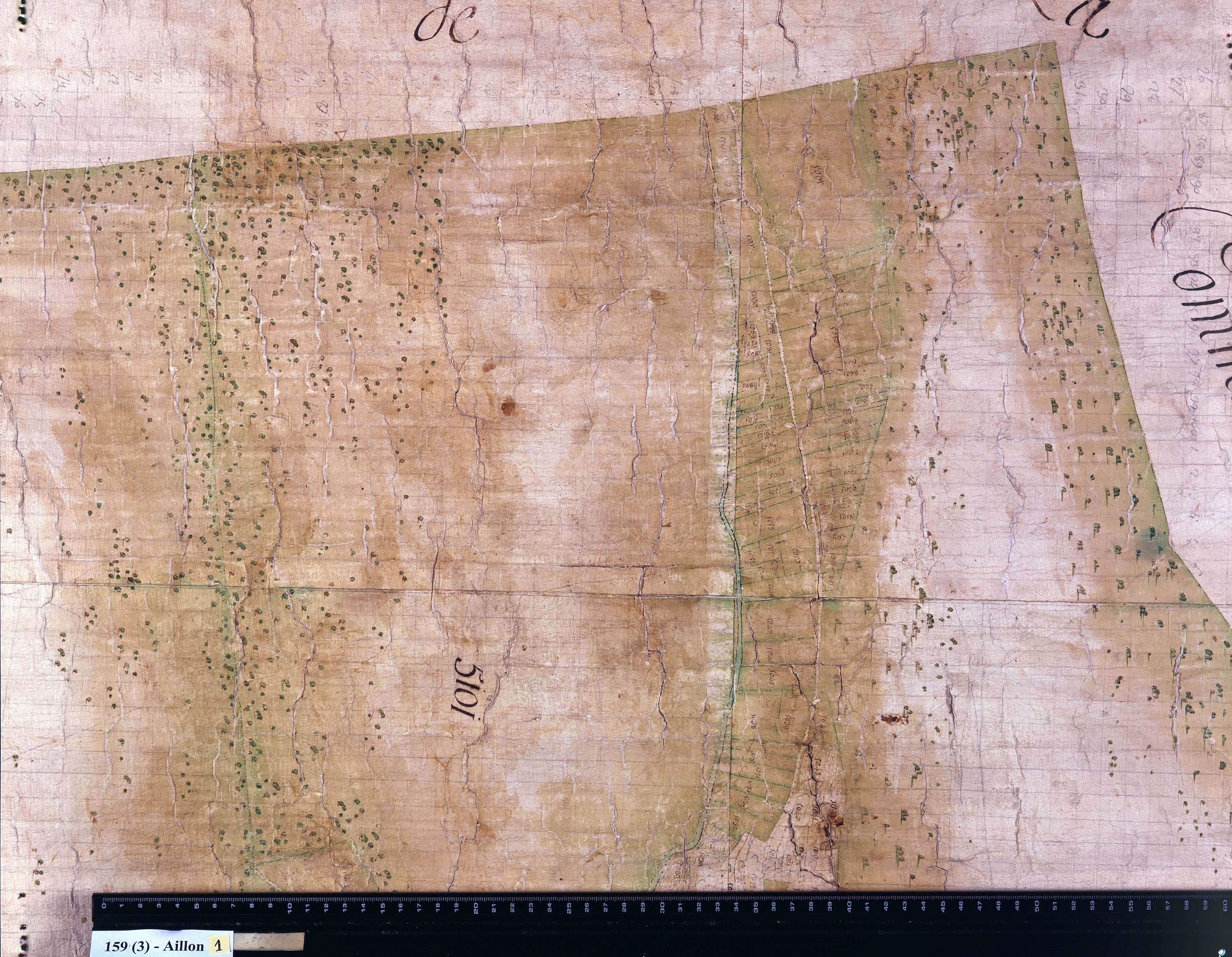 Aillon-le-Jeune - Copie de la mappe originale (plan cadastral) de la commune d’Aillon. Signée : Cocelli, directeur du bureau de la péréquation générale.