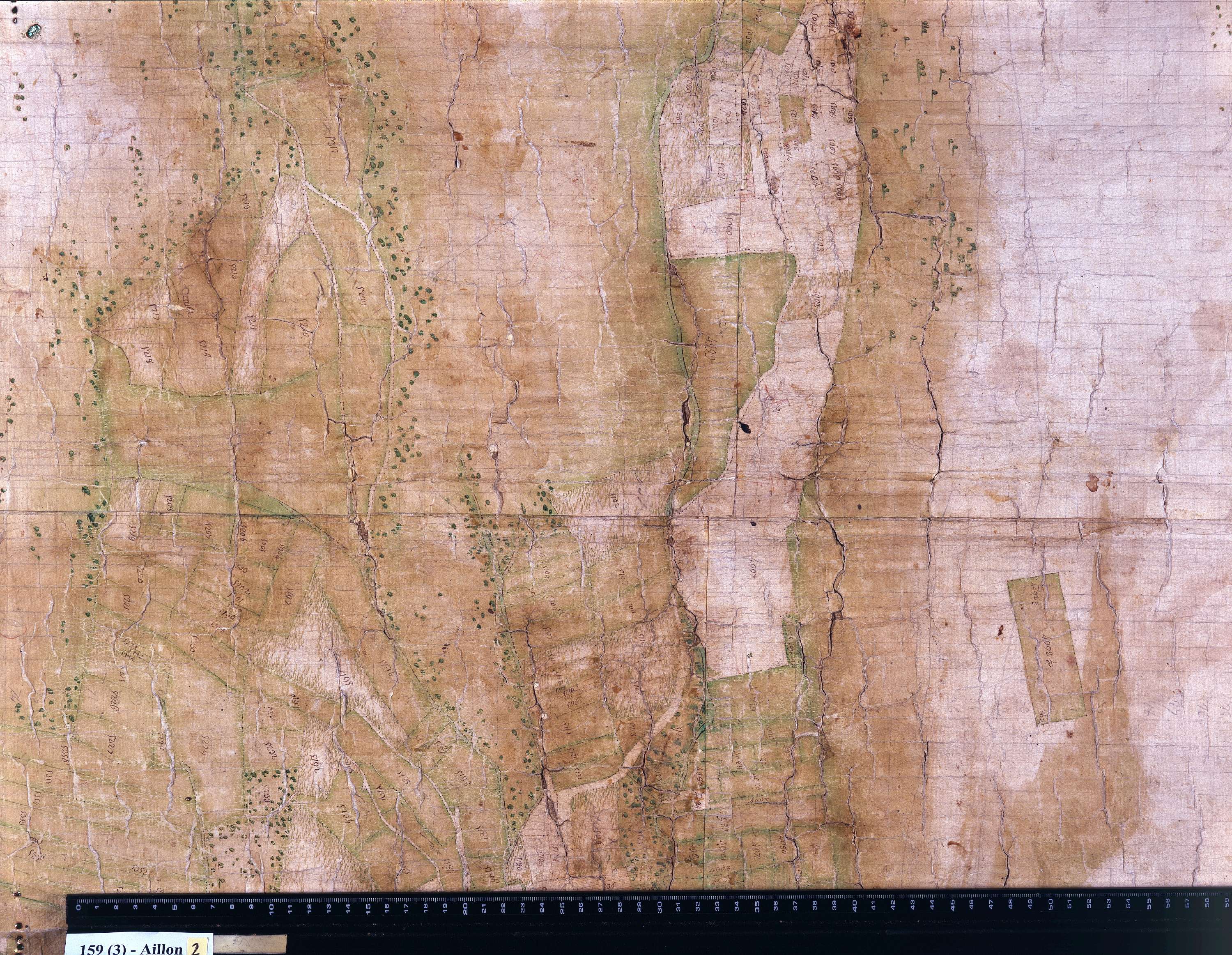 Aillon-le-Jeune - Copie de la mappe originale (plan cadastral) de la commune d’Aillon. Signée : Cocelli, directeur du bureau de la péréquation générale.
