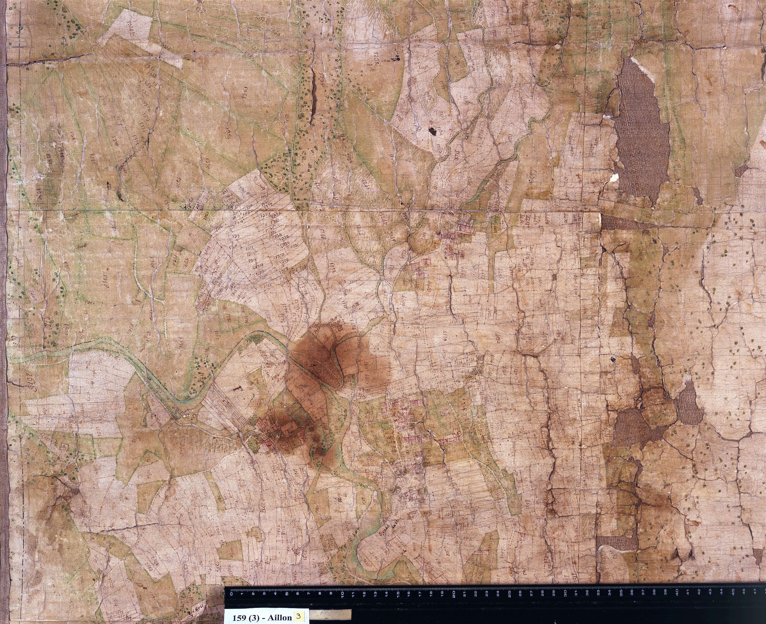 Aillon-le-Jeune - Copie de la mappe originale (plan cadastral) de la commune d’Aillon. Signée : Cocelli, directeur du bureau de la péréquation générale.