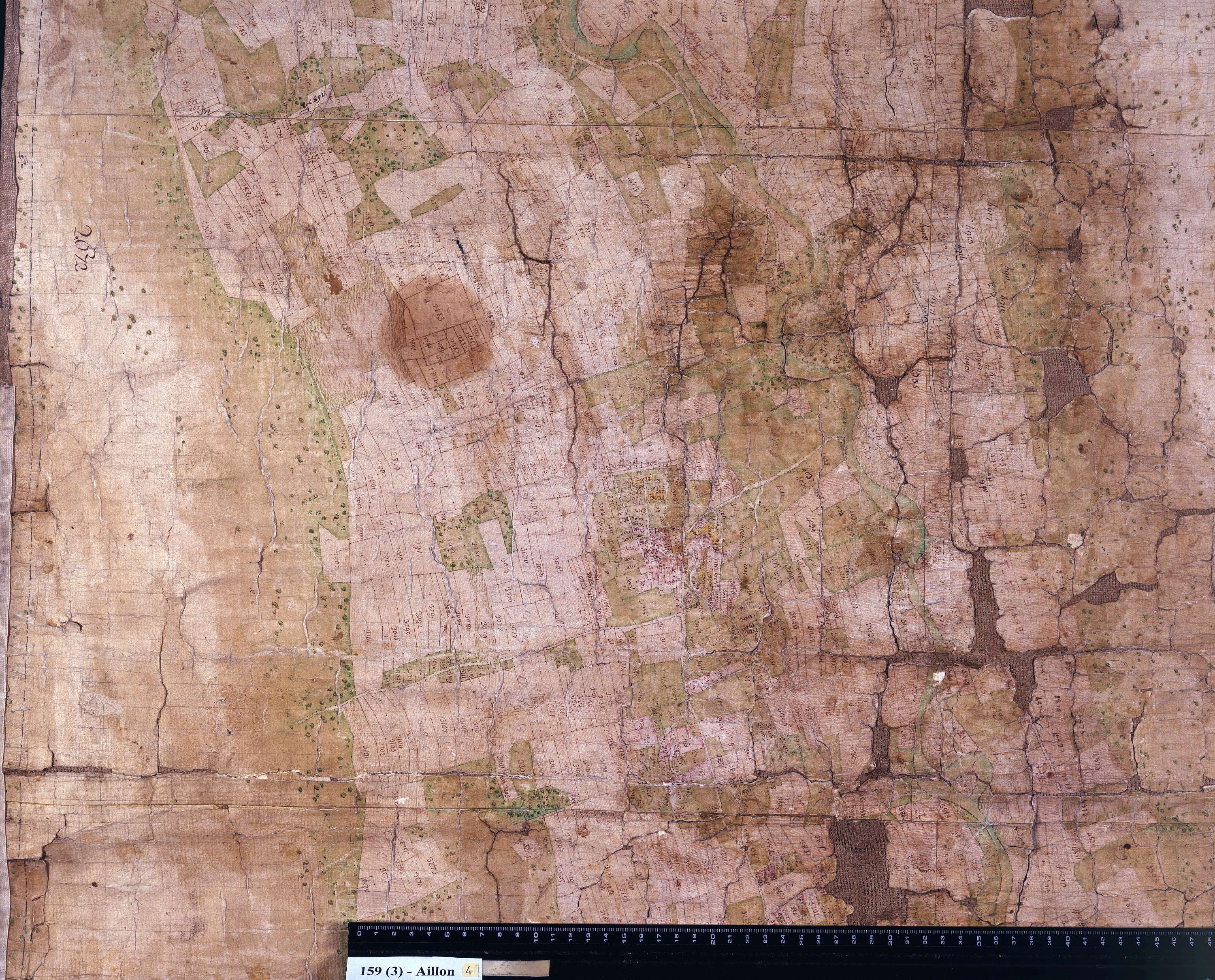 Aillon-le-Jeune - Copie de la mappe originale (plan cadastral) de la commune d’Aillon. Signée : Cocelli, directeur du bureau de la péréquation générale.