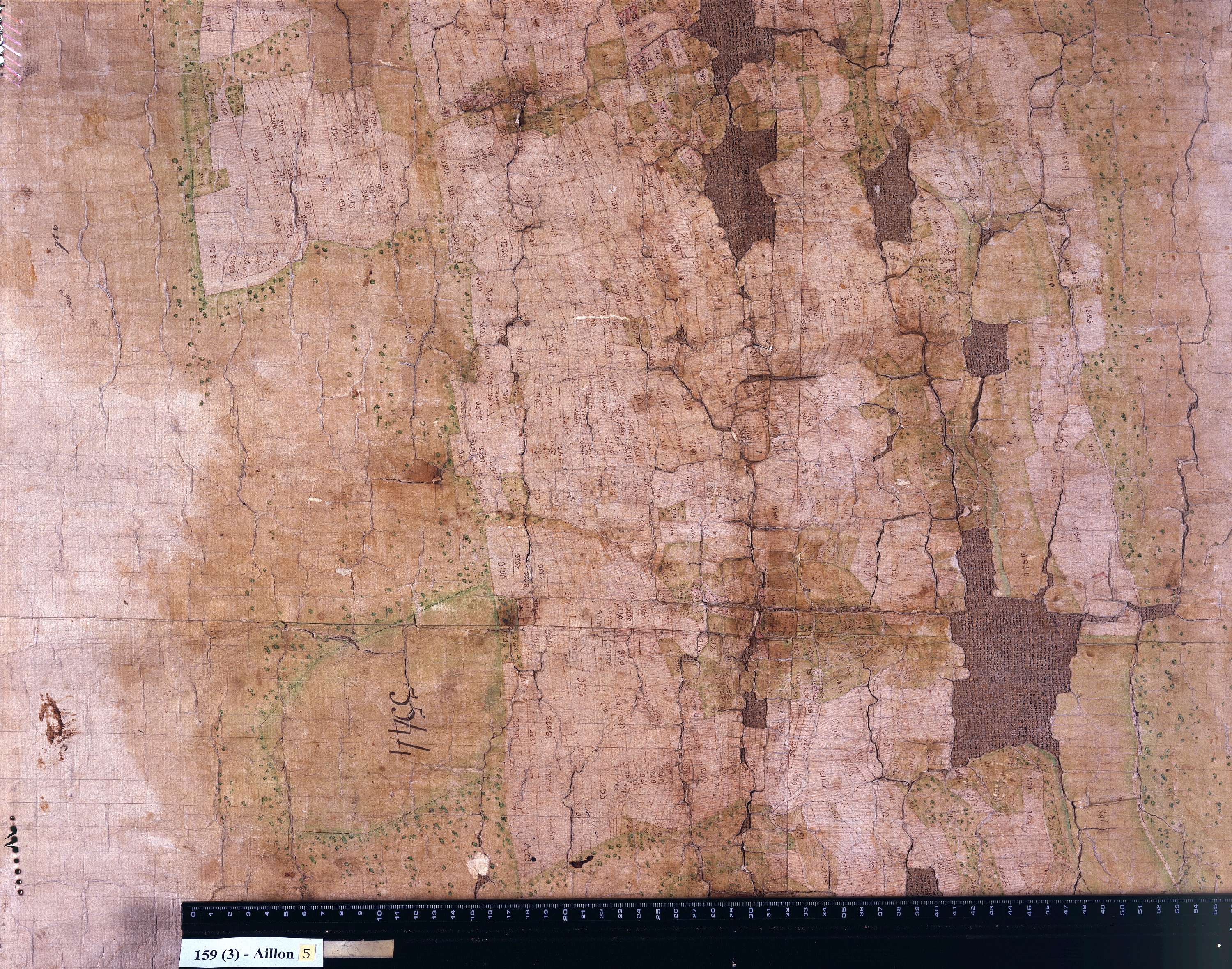 Aillon-le-Jeune - Copie de la mappe originale (plan cadastral) de la commune d’Aillon. Signée : Cocelli, directeur du bureau de la péréquation générale.