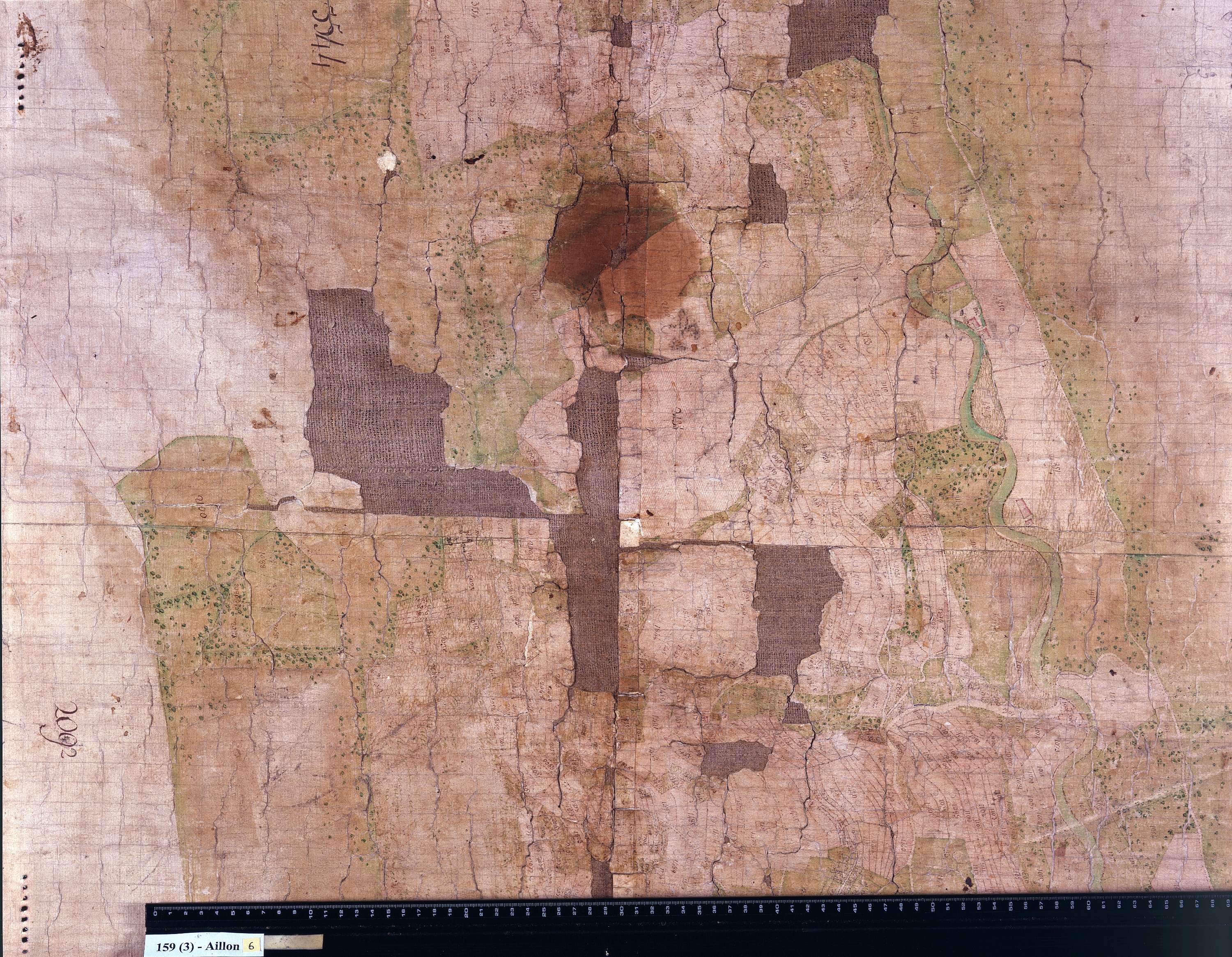 Aillon-le-Jeune - Copie de la mappe originale (plan cadastral) de la commune d’Aillon. Signée : Cocelli, directeur du bureau de la péréquation générale.