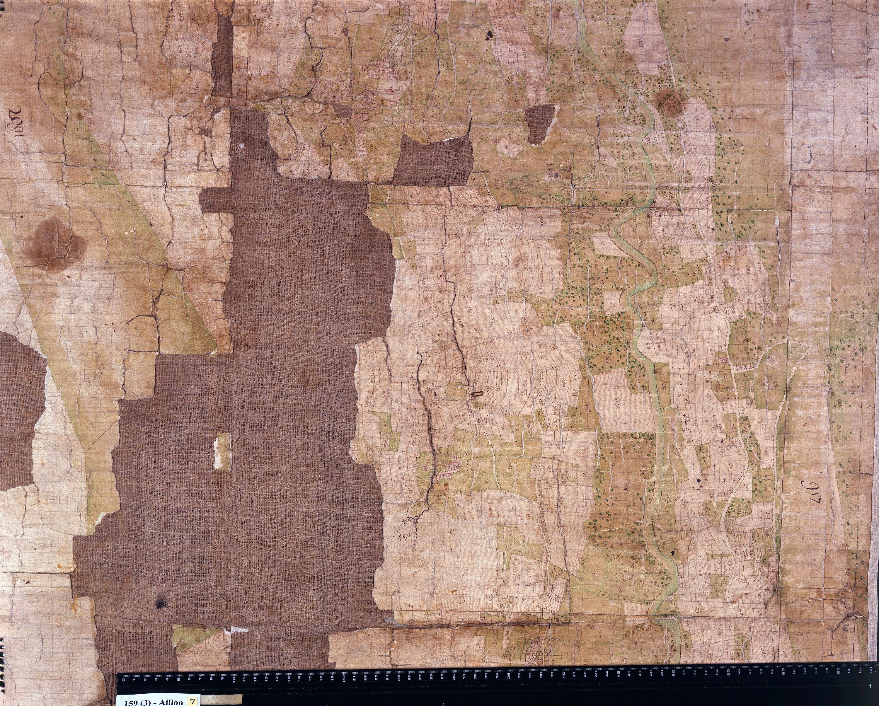 Aillon-le-Jeune - Copie de la mappe originale (plan cadastral) de la commune d’Aillon. Signée : Cocelli, directeur du bureau de la péréquation générale.