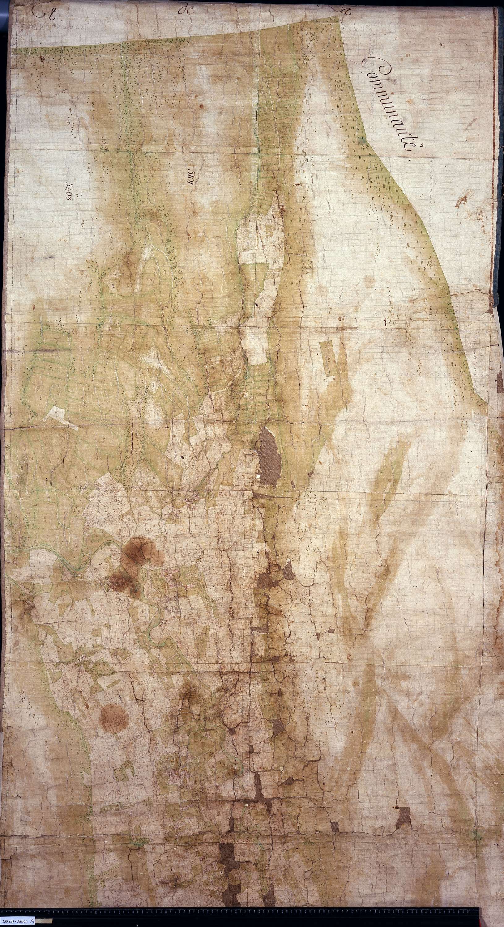 Aillon-le-Jeune - Copie de la mappe originale (plan cadastral) de la commune d’Aillon. Signée : Cocelli, directeur du bureau de la péréquation générale.