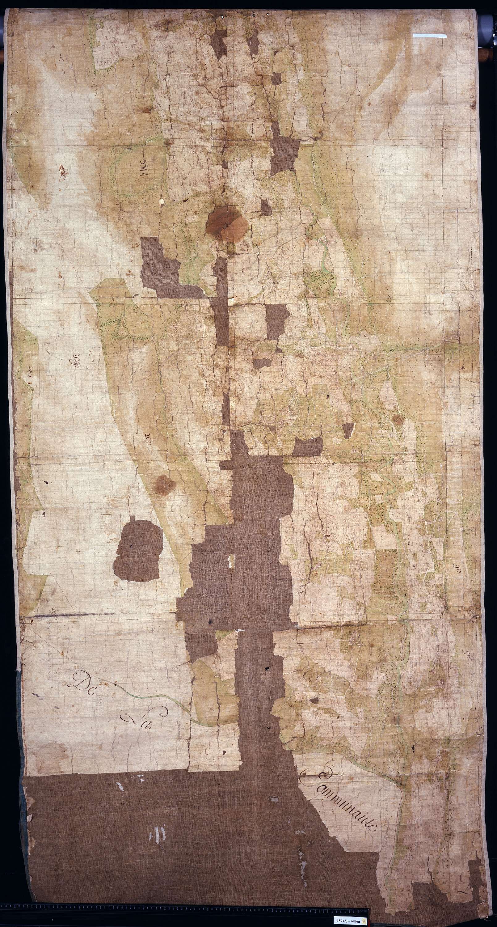 Aillon-le-Jeune - Copie de la mappe originale (plan cadastral) de la commune d’Aillon. Signée : Cocelli, directeur du bureau de la péréquation générale.