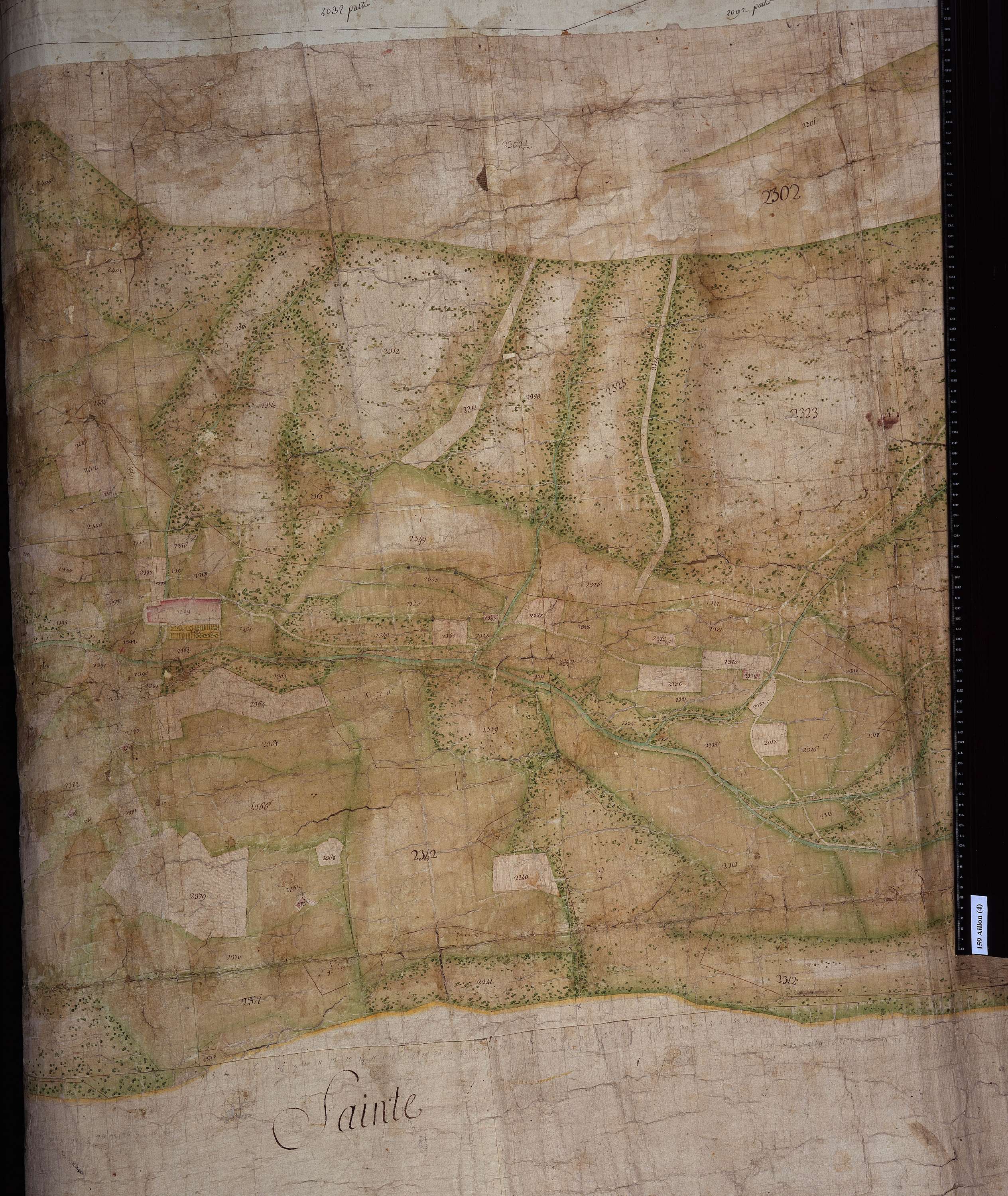Aillon-le-Jeune - Copie de la mappe originale (plan cadastral) de la commune d’Aillon. Signée : Cocelli, directeur du bureau de la péréquation générale.