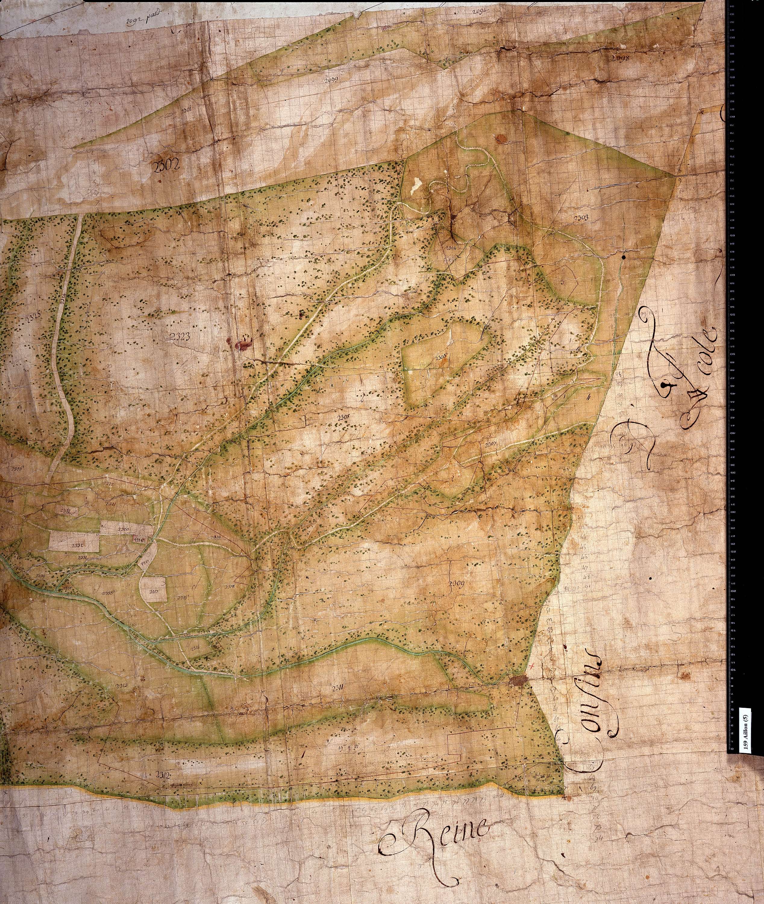 Aillon-le-Jeune - Copie de la mappe originale (plan cadastral) de la commune d’Aillon. Signée : Cocelli, directeur du bureau de la péréquation générale.