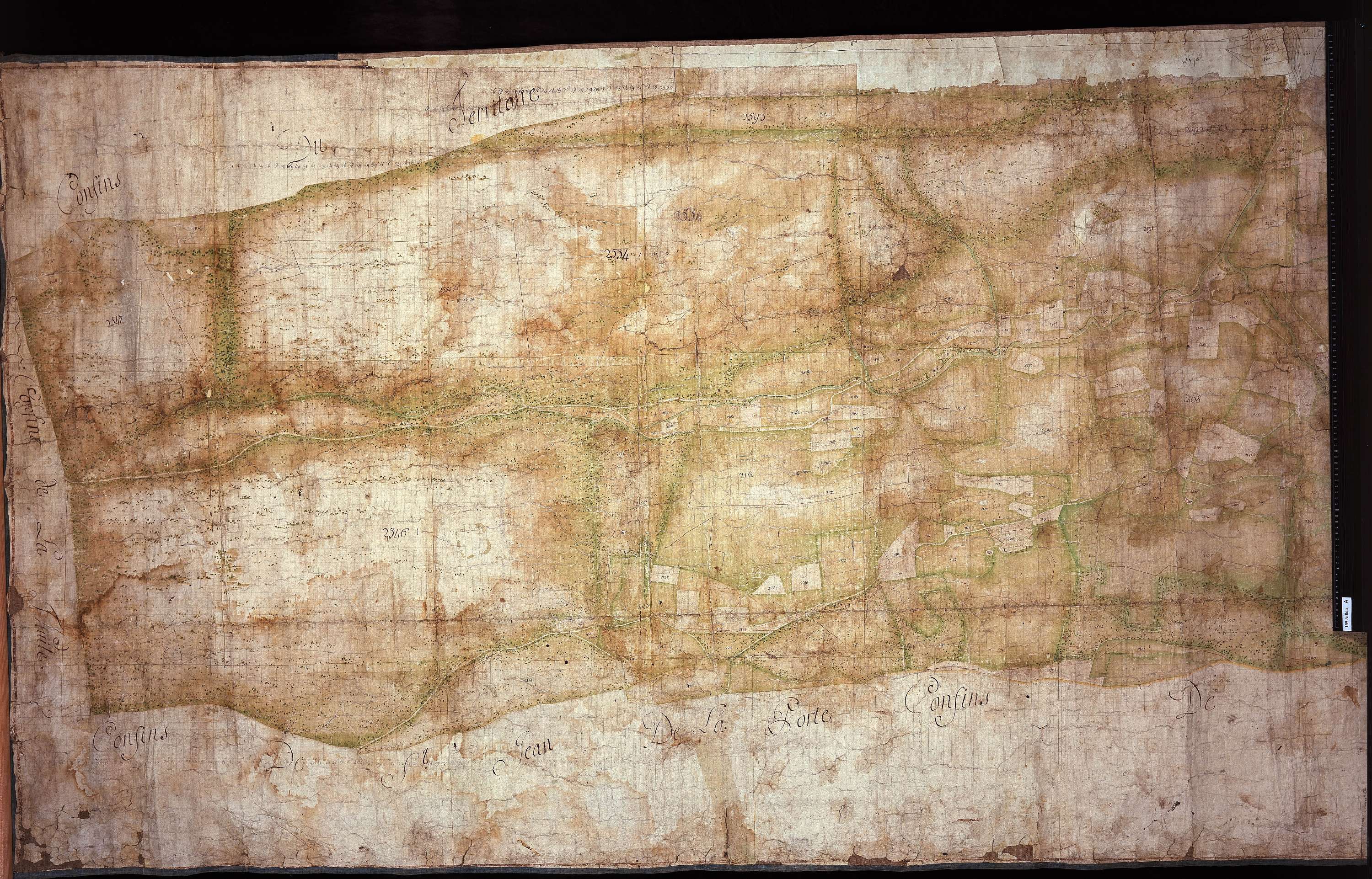 Aillon-le-Jeune - Copie de la mappe originale (plan cadastral) de la commune d’Aillon. Signée : Cocelli, directeur du bureau de la péréquation générale.
