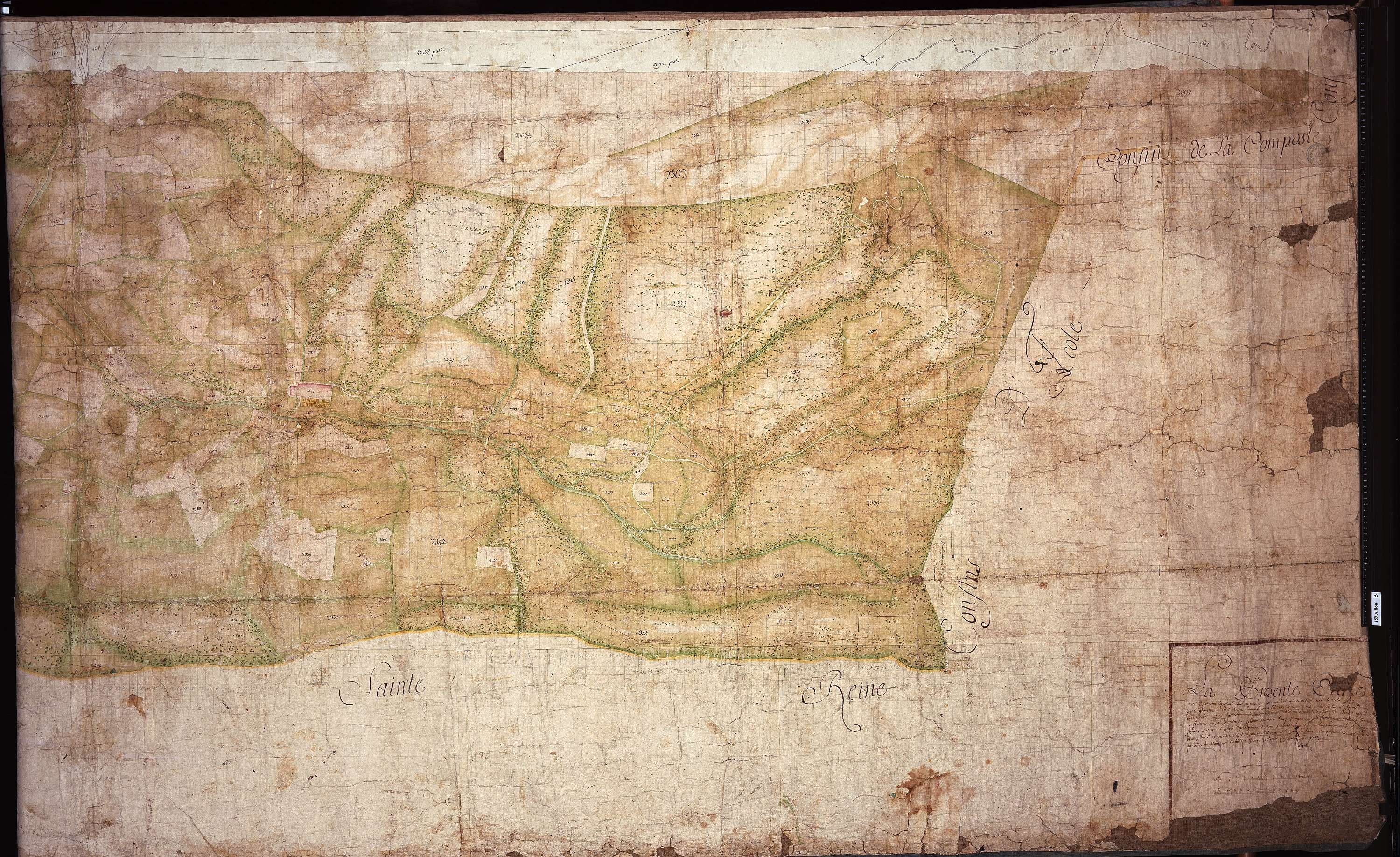 Aillon-le-Jeune - Copie de la mappe originale (plan cadastral) de la commune d’Aillon. Signée : Cocelli, directeur du bureau de la péréquation générale.