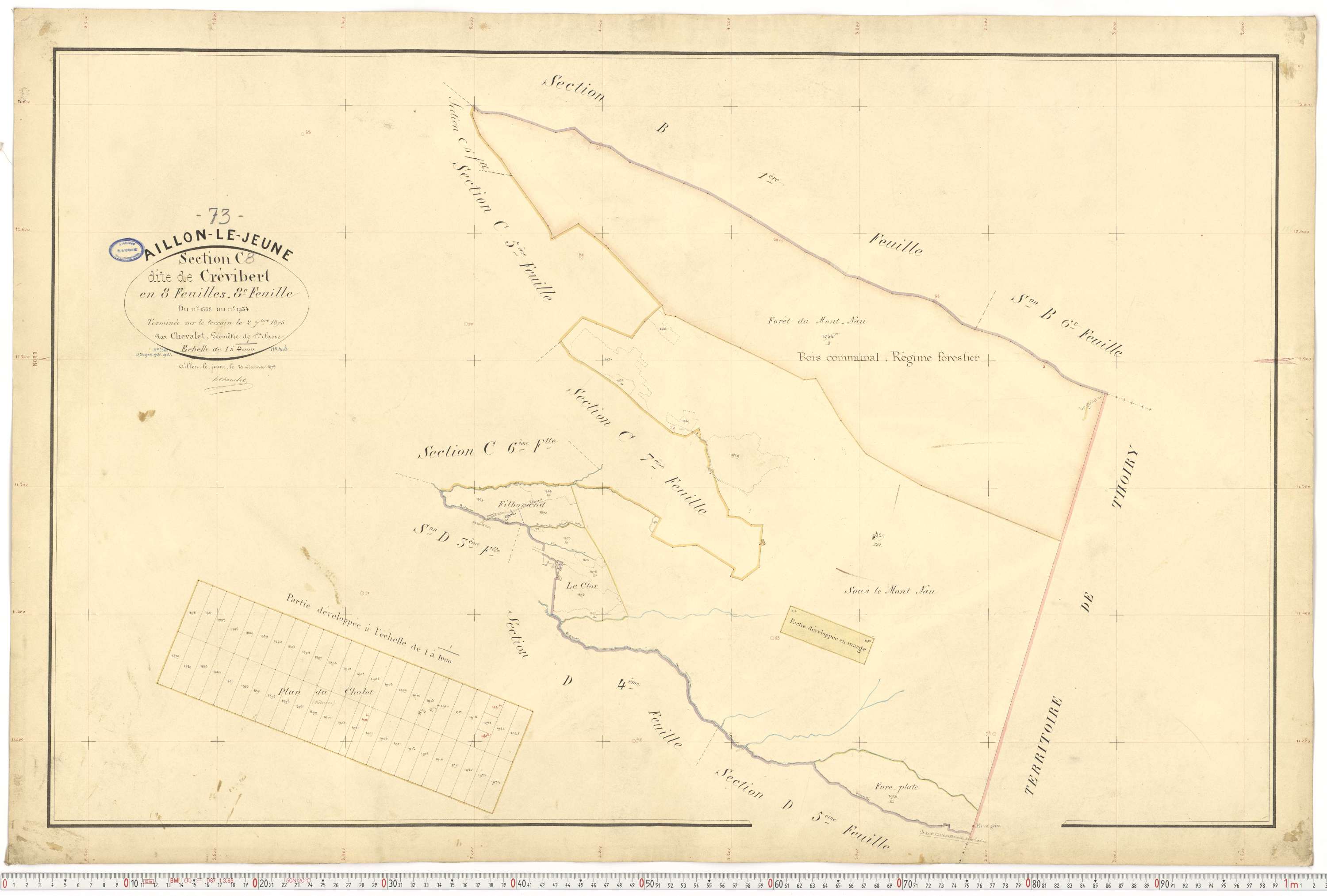 Aillon-le-Jeune - Cadastre français (1878).