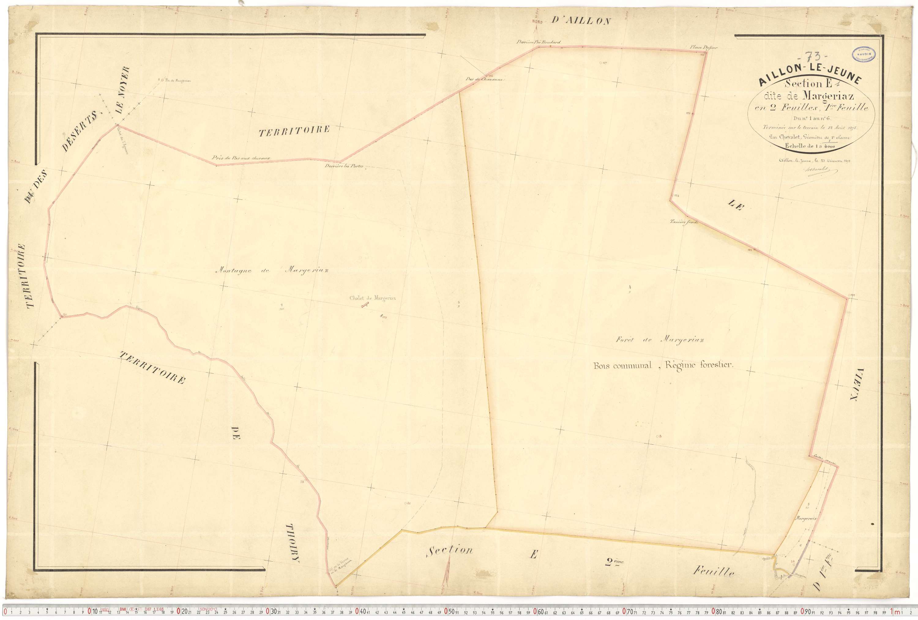 Aillon-le-Jeune - Cadastre français (1878).