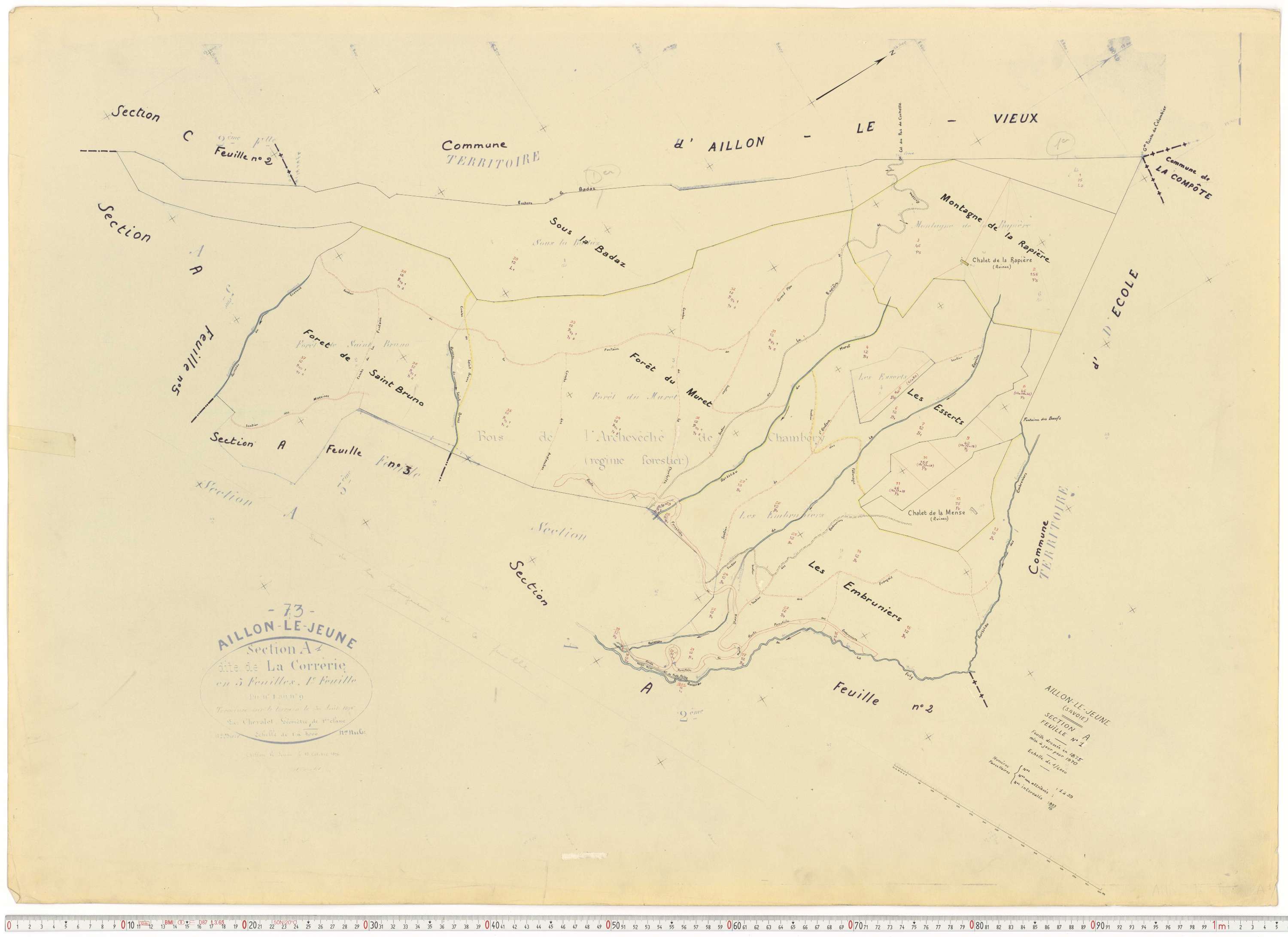 Aillon-le-Jeune - Cadastre rénové version de travail (1970).