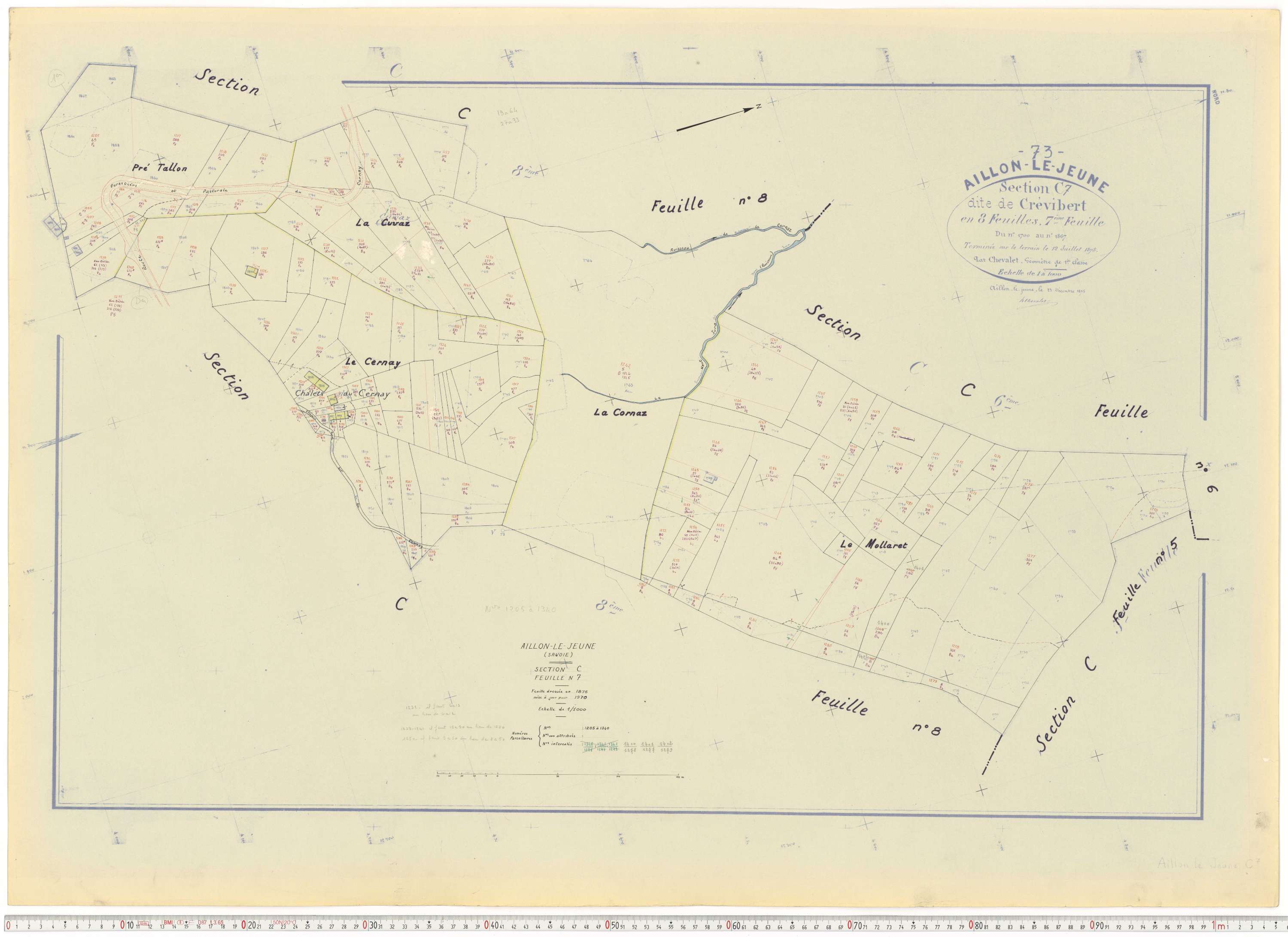 Aillon-le-Jeune - Cadastre rénové version de travail (1970).