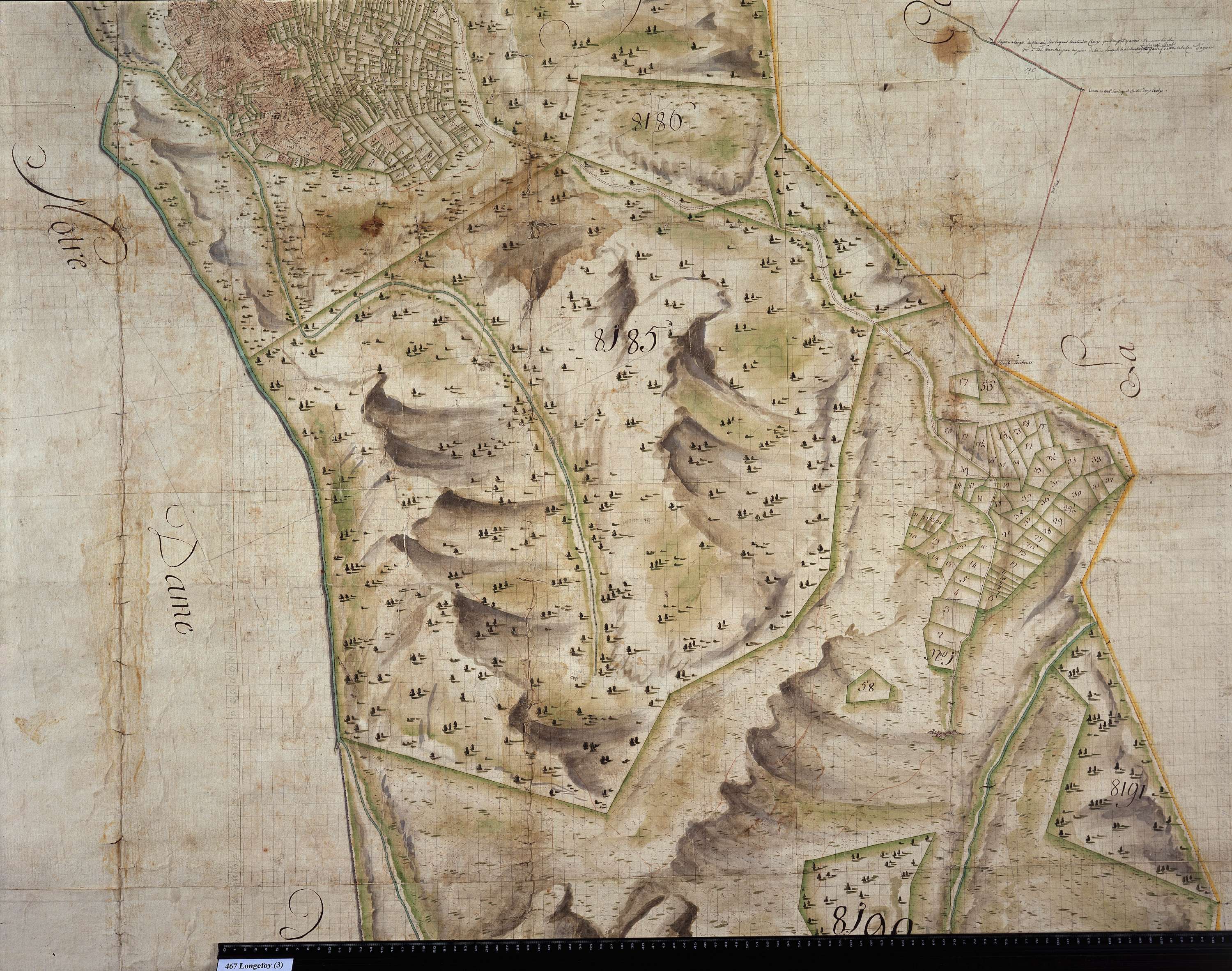 Aime - Copie de la mappe originale (plan cadastral) de la commune de Longefoy. Signée Cocelli, directeur de la péréquation.