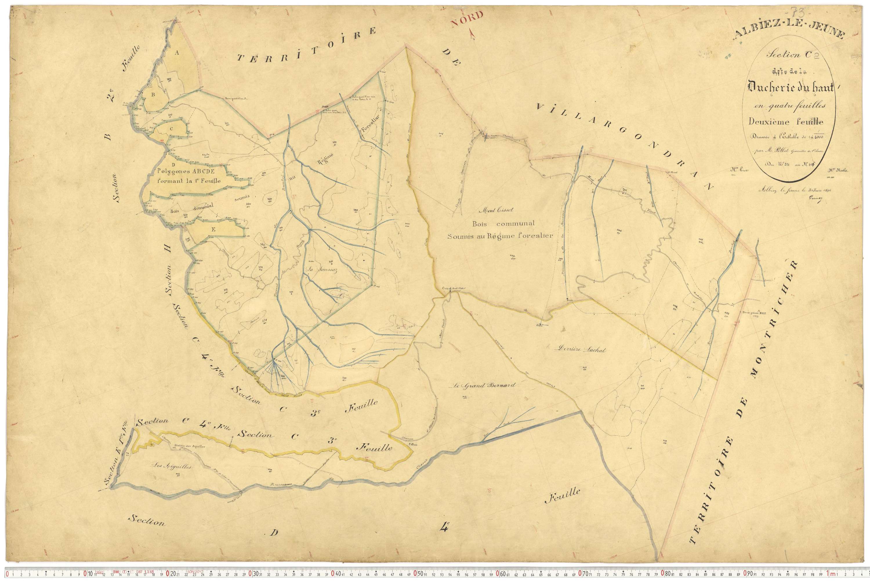 Albiez-le-Jeune - Plans cadastraux du premier cadastre français.