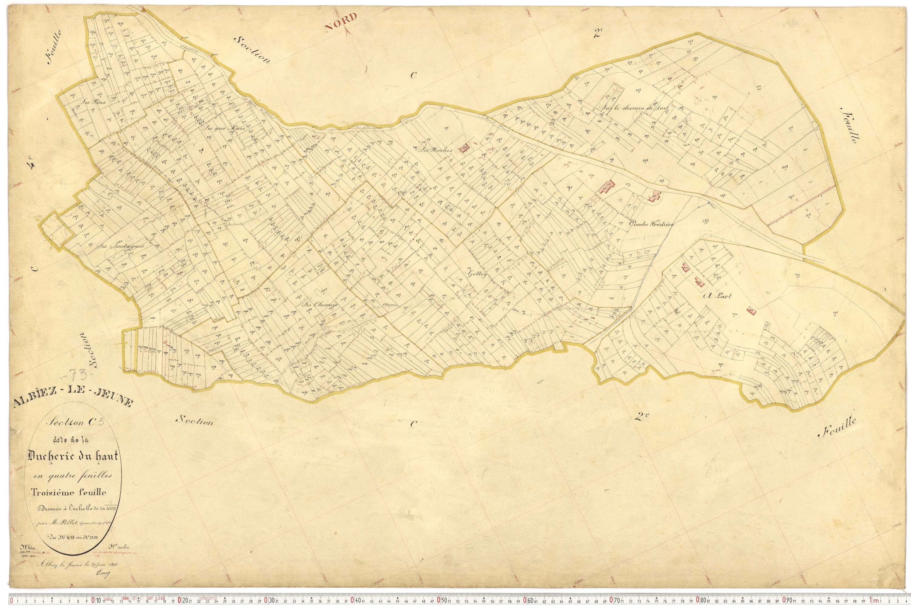 Albiez-le-Jeune - Plans cadastraux du premier cadastre français.