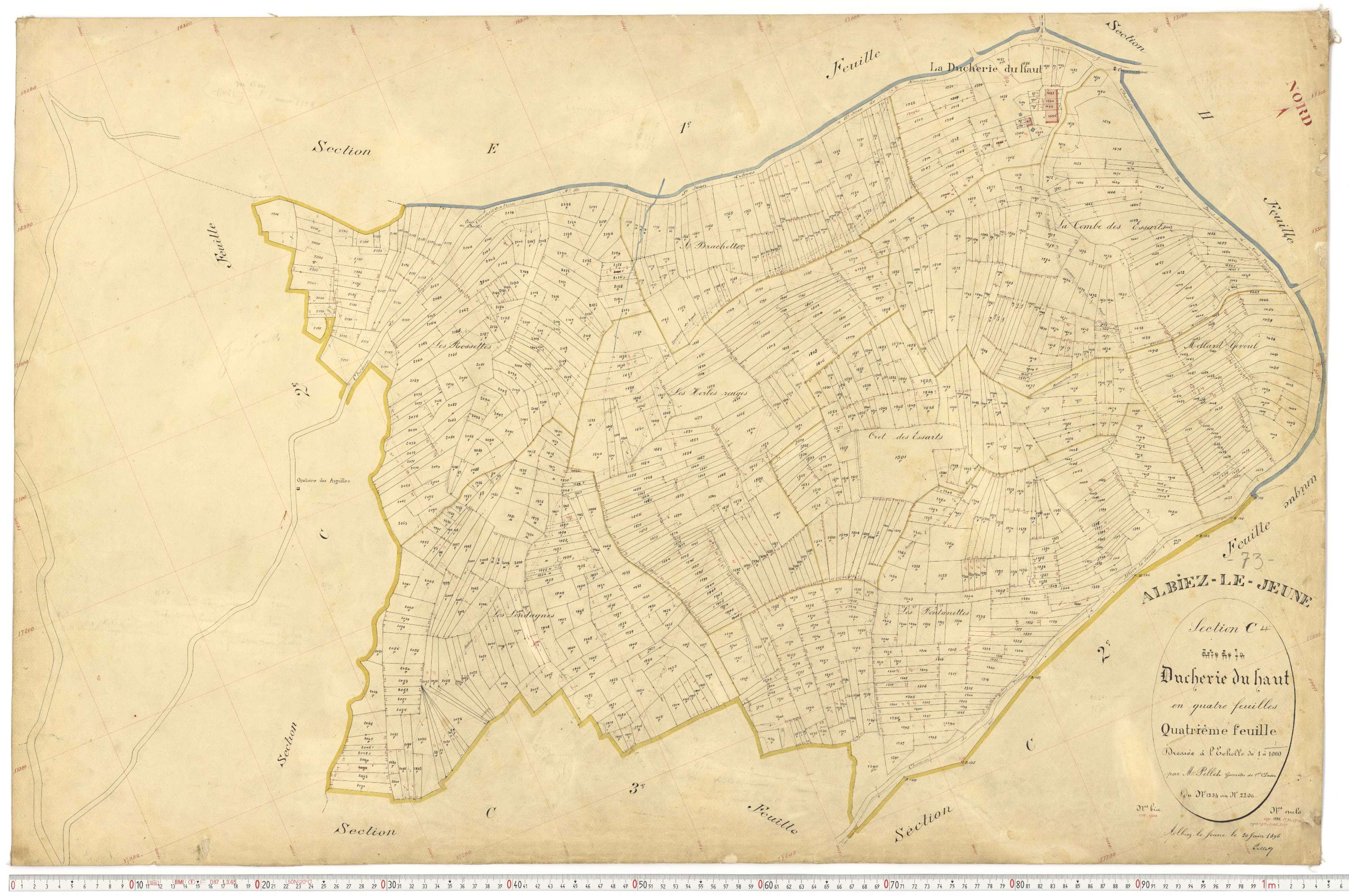Albiez-le-Jeune - Plans cadastraux du premier cadastre français.