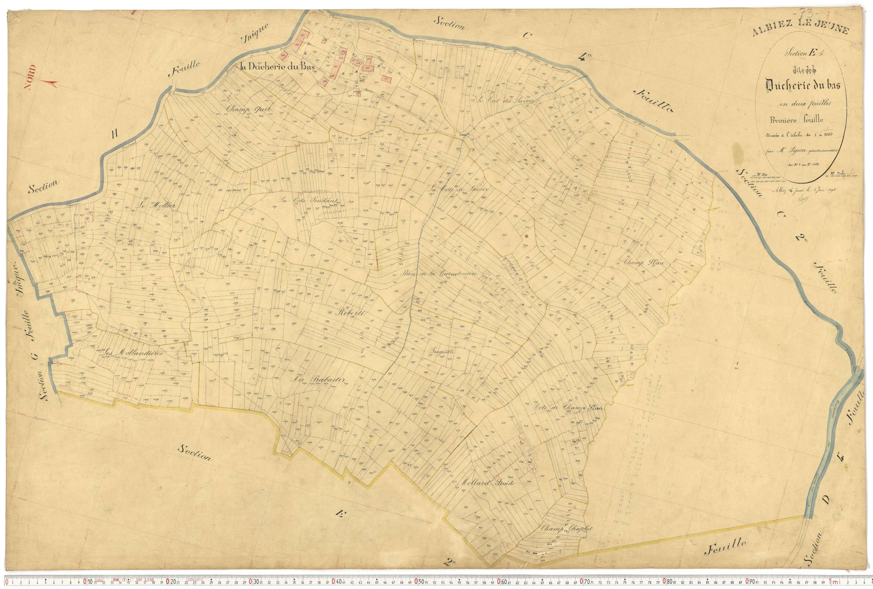 Albiez-le-Jeune - Plans cadastraux du premier cadastre français.