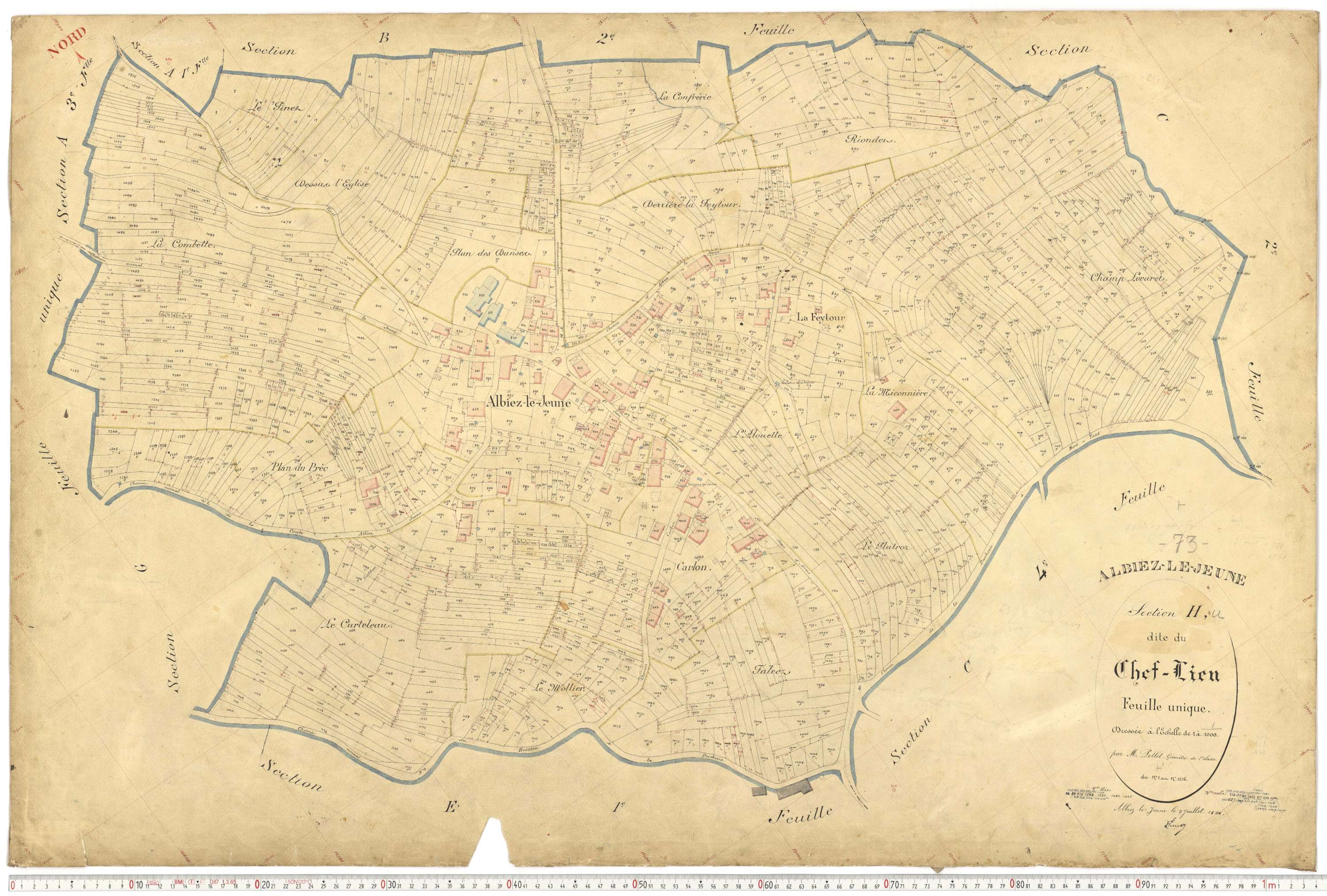 Albiez-le-Jeune - Plans cadastraux du premier cadastre français.