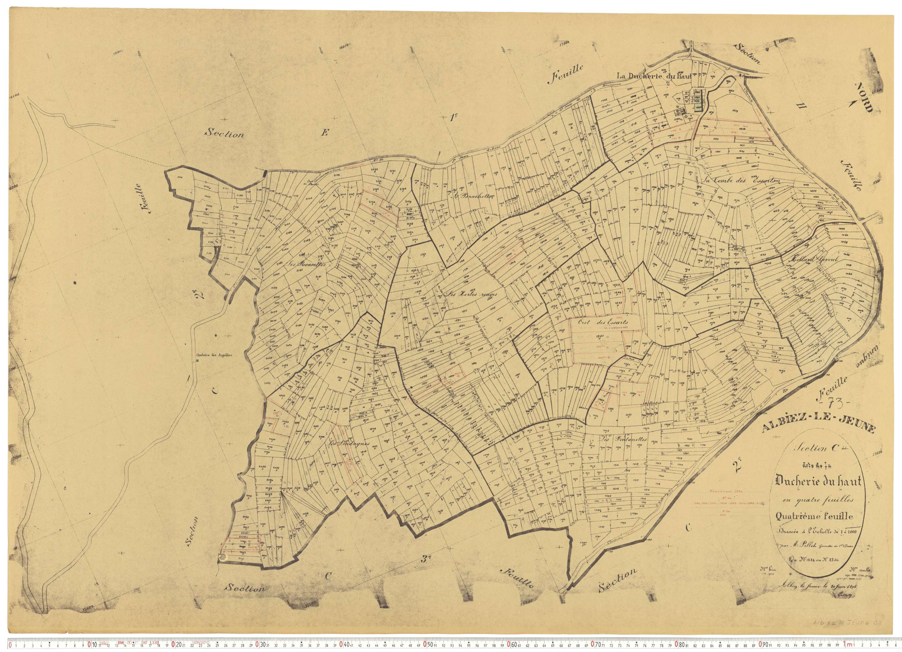Albiez-le-Jeune - Plans cadastraux du cadastre rénové.