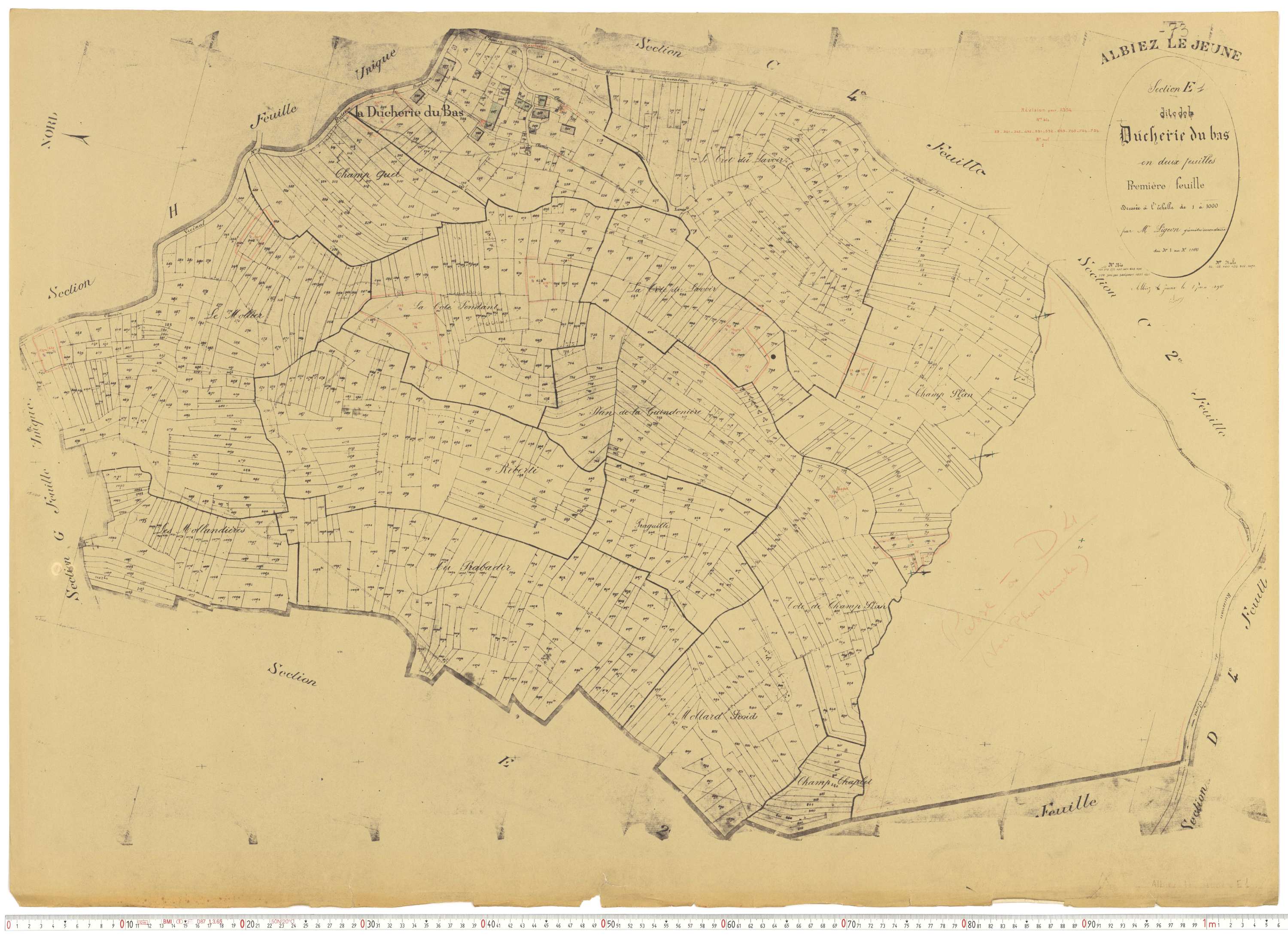 Albiez-le-Jeune - Plans cadastraux du cadastre rénové.