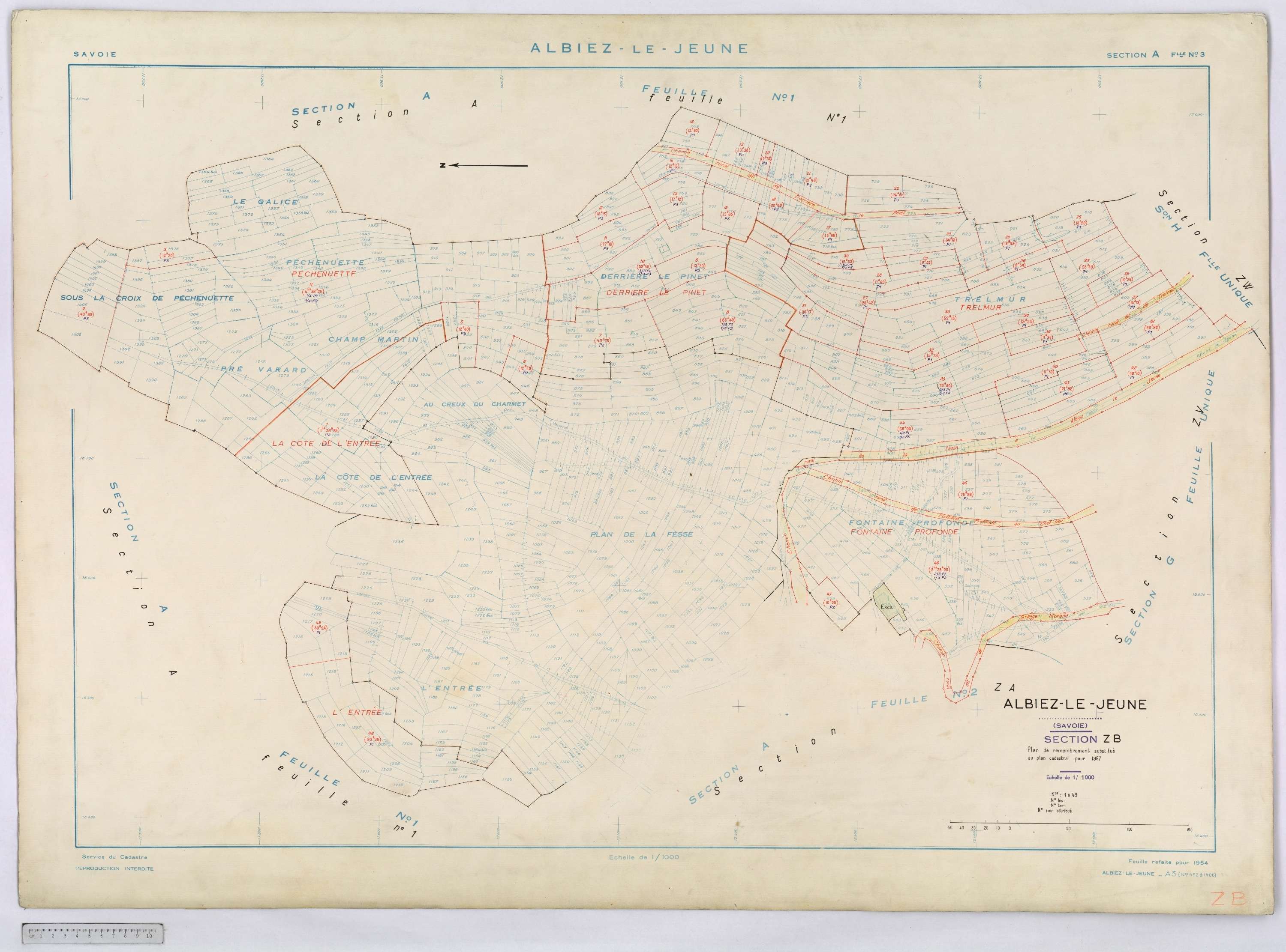 Albiez-le-Jeune - Cadastre remembré (1967).