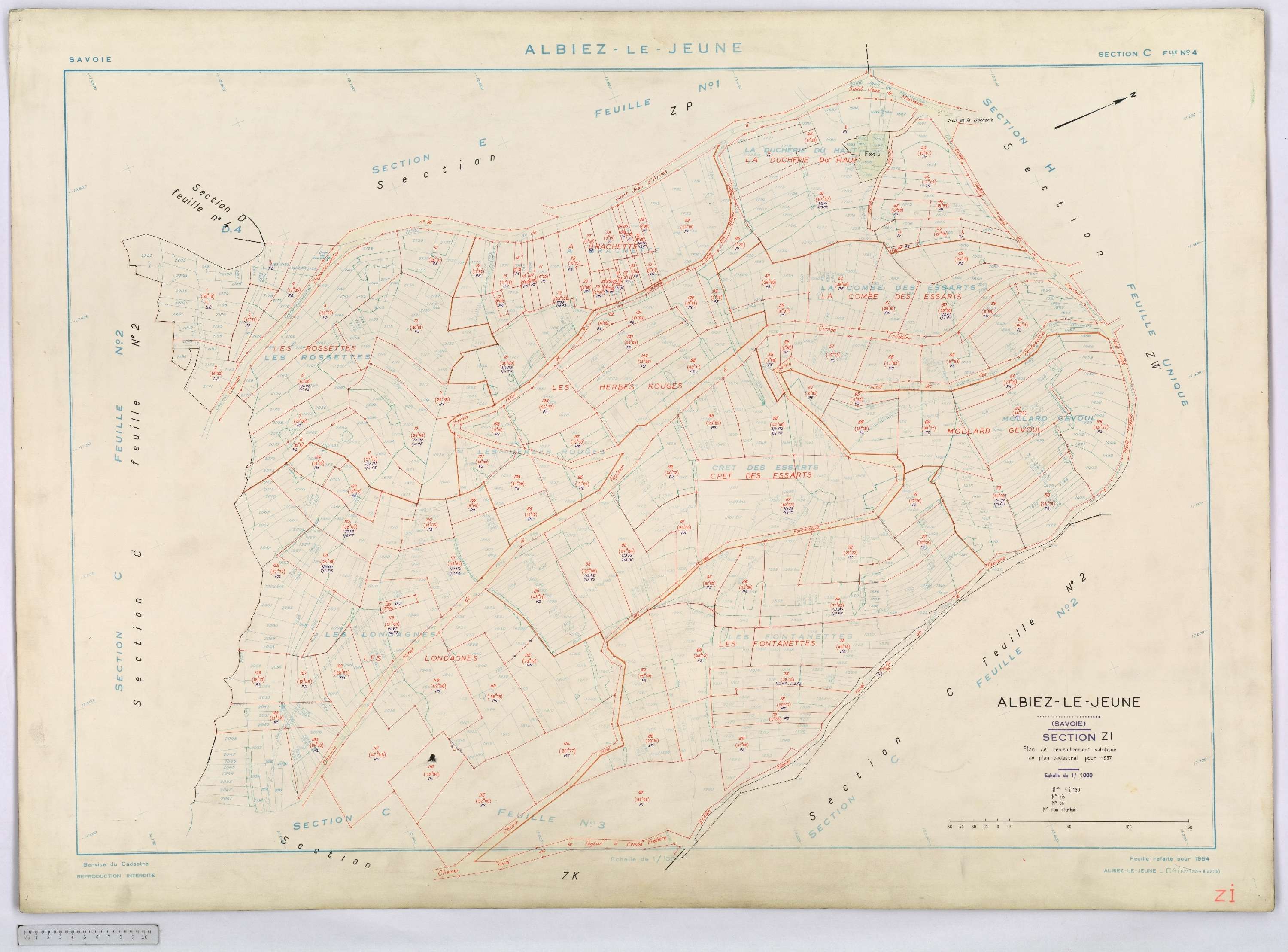 Albiez-le-Jeune - Cadastre remembré (1967).