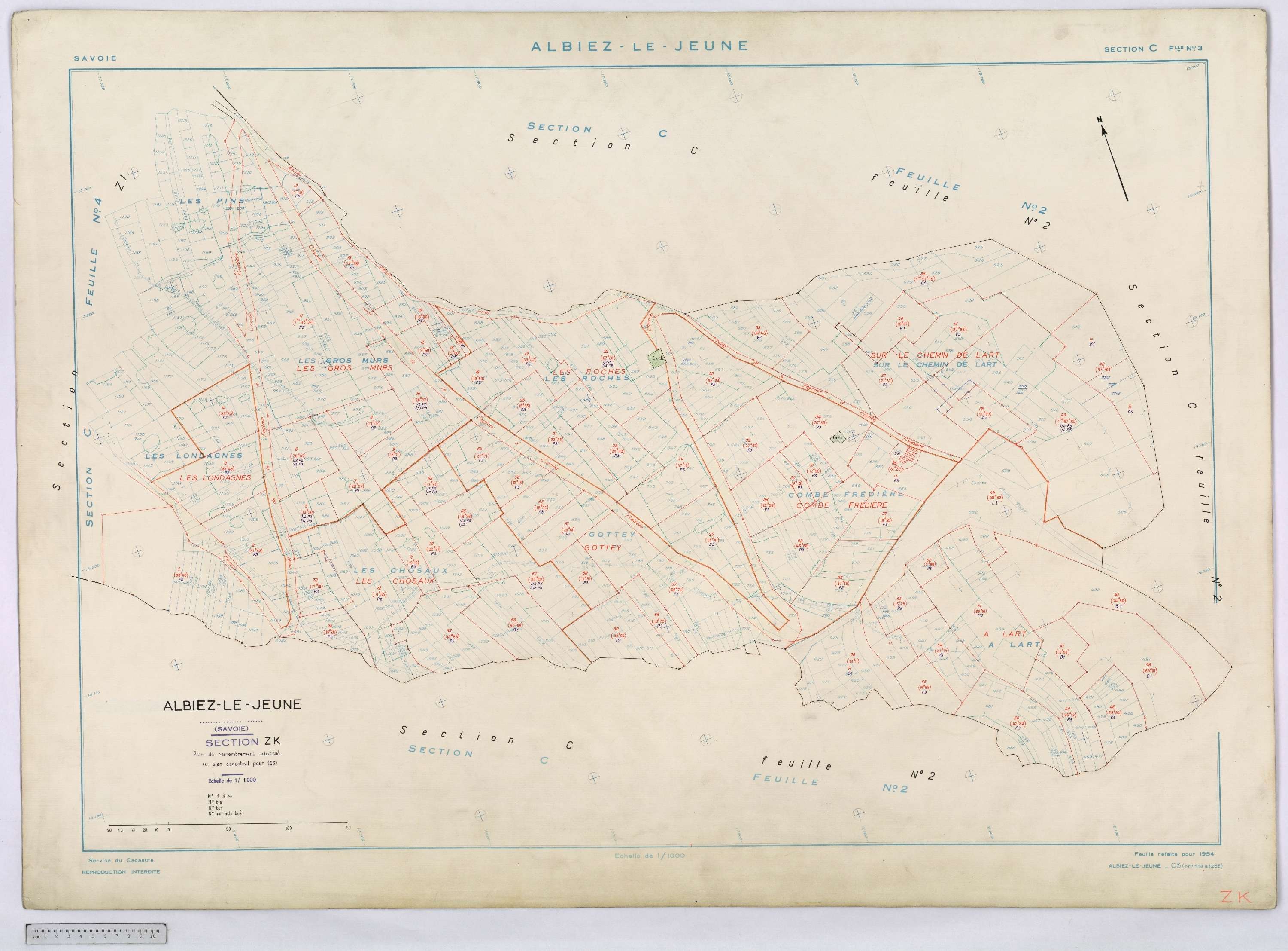 Albiez-le-Jeune - Cadastre remembré (1967).