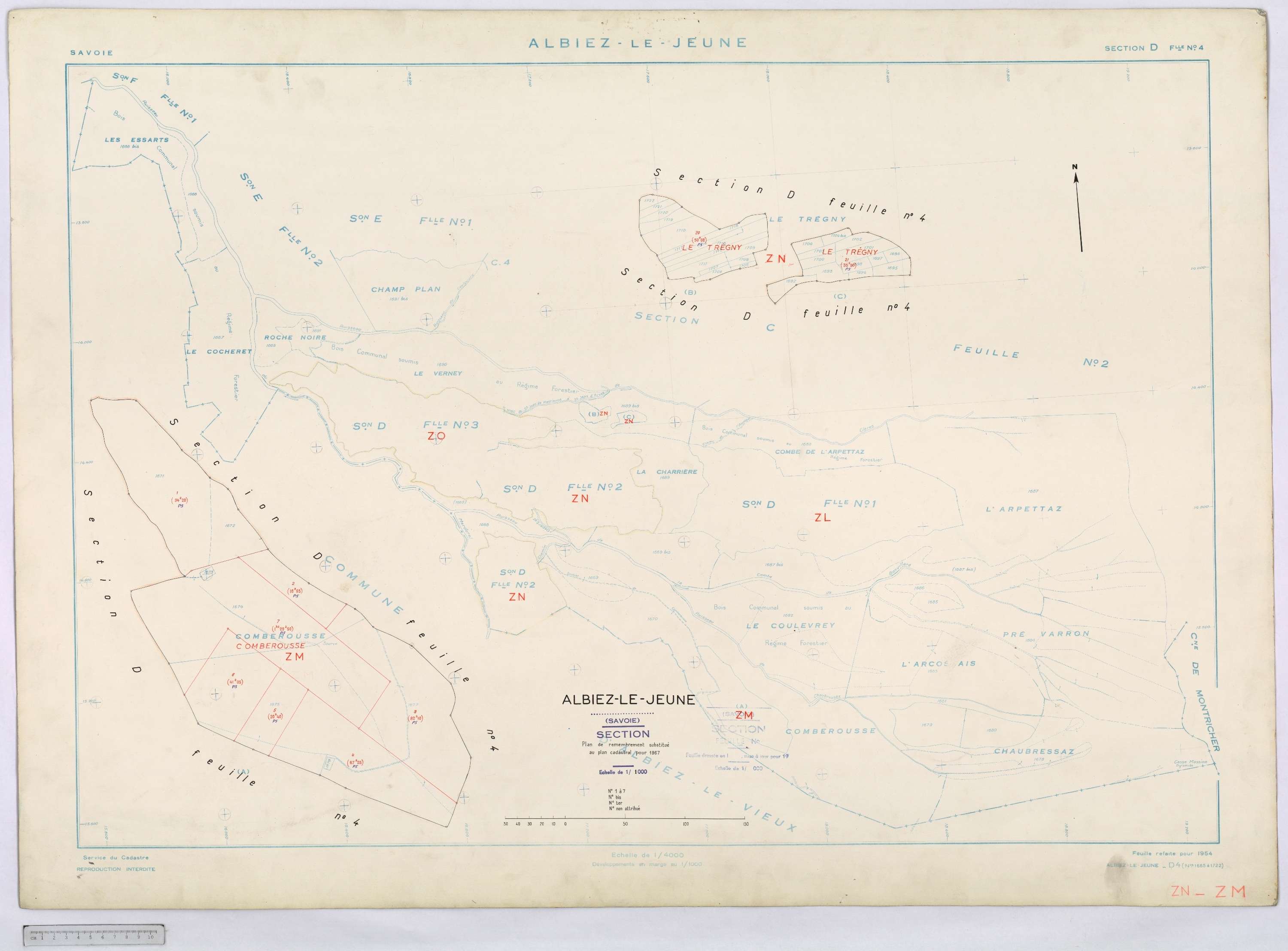 Albiez-le-Jeune - Cadastre remembré (1967).