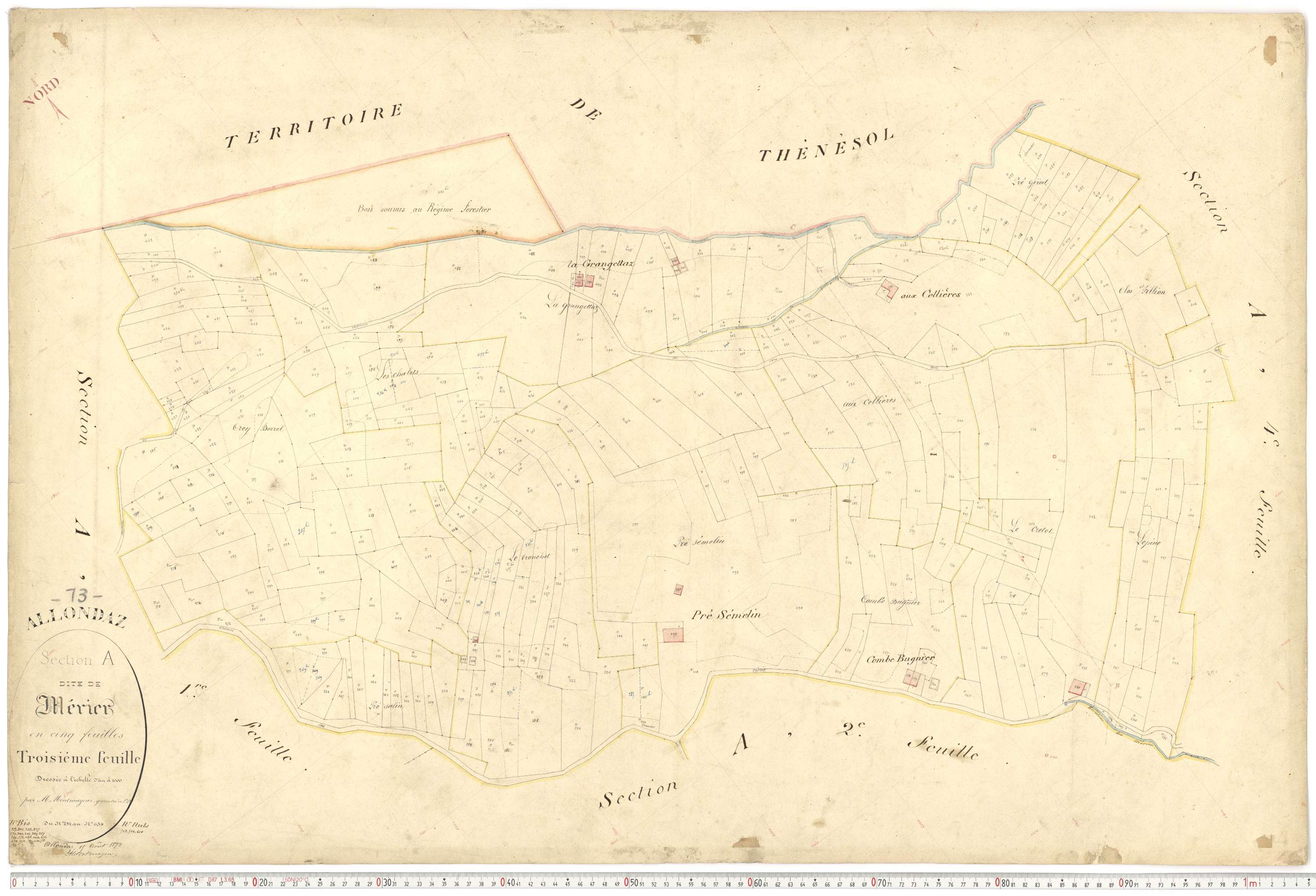 Allondaz - Plans cadastraux du premier cadastre français.