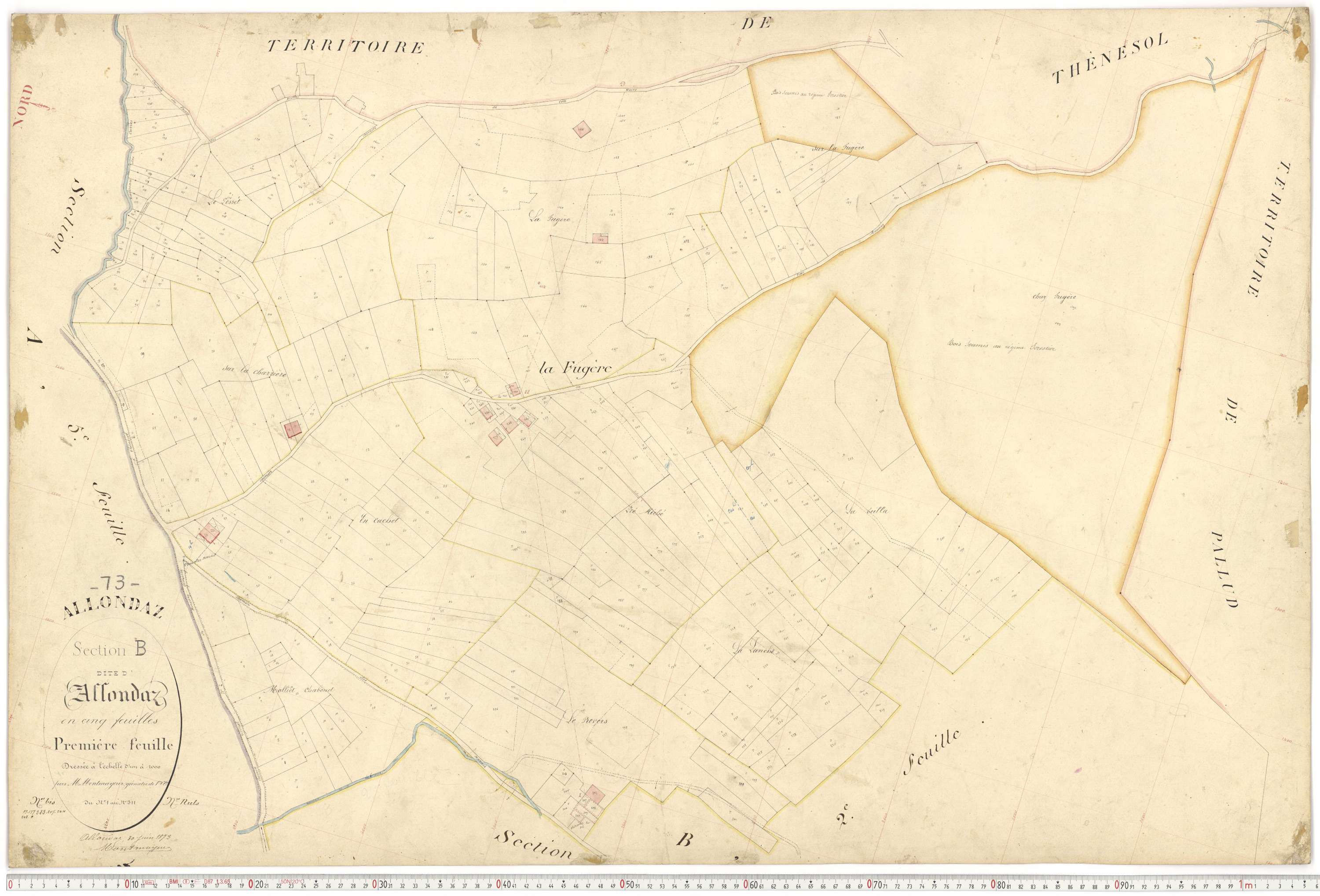 Allondaz - Plans cadastraux du premier cadastre français.
