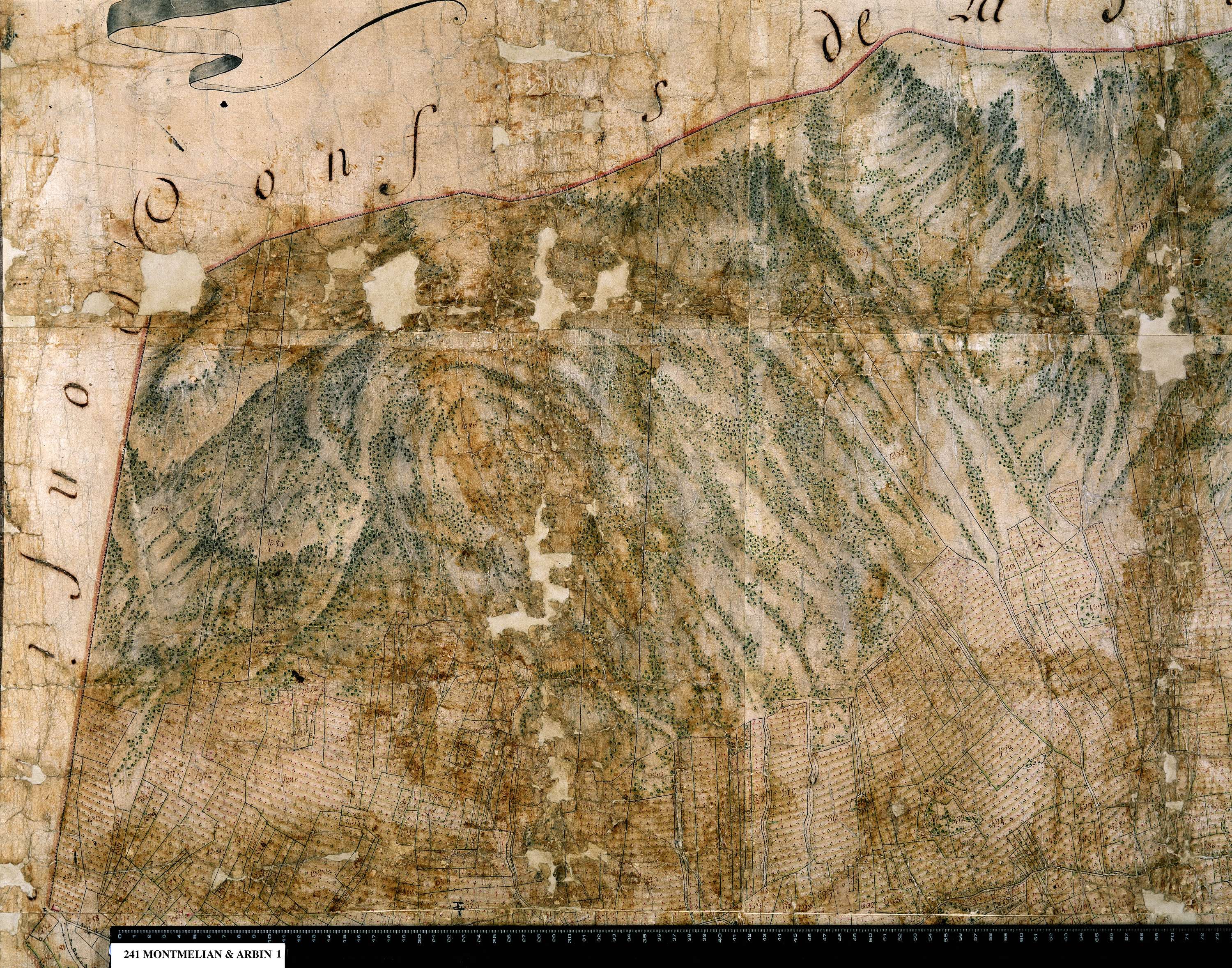 Arbin - 241_1.jpg