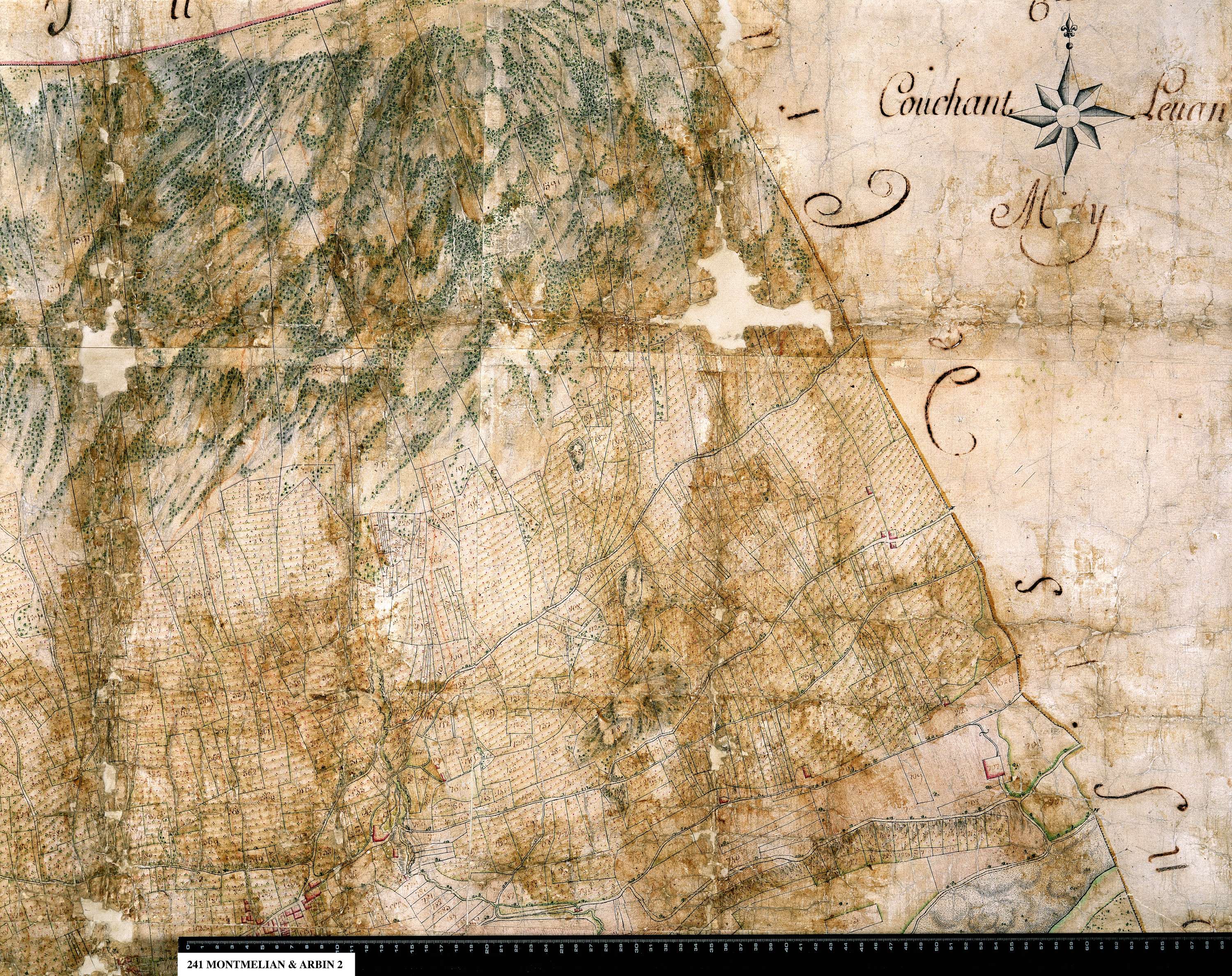 Arbin - 241_2.jpg