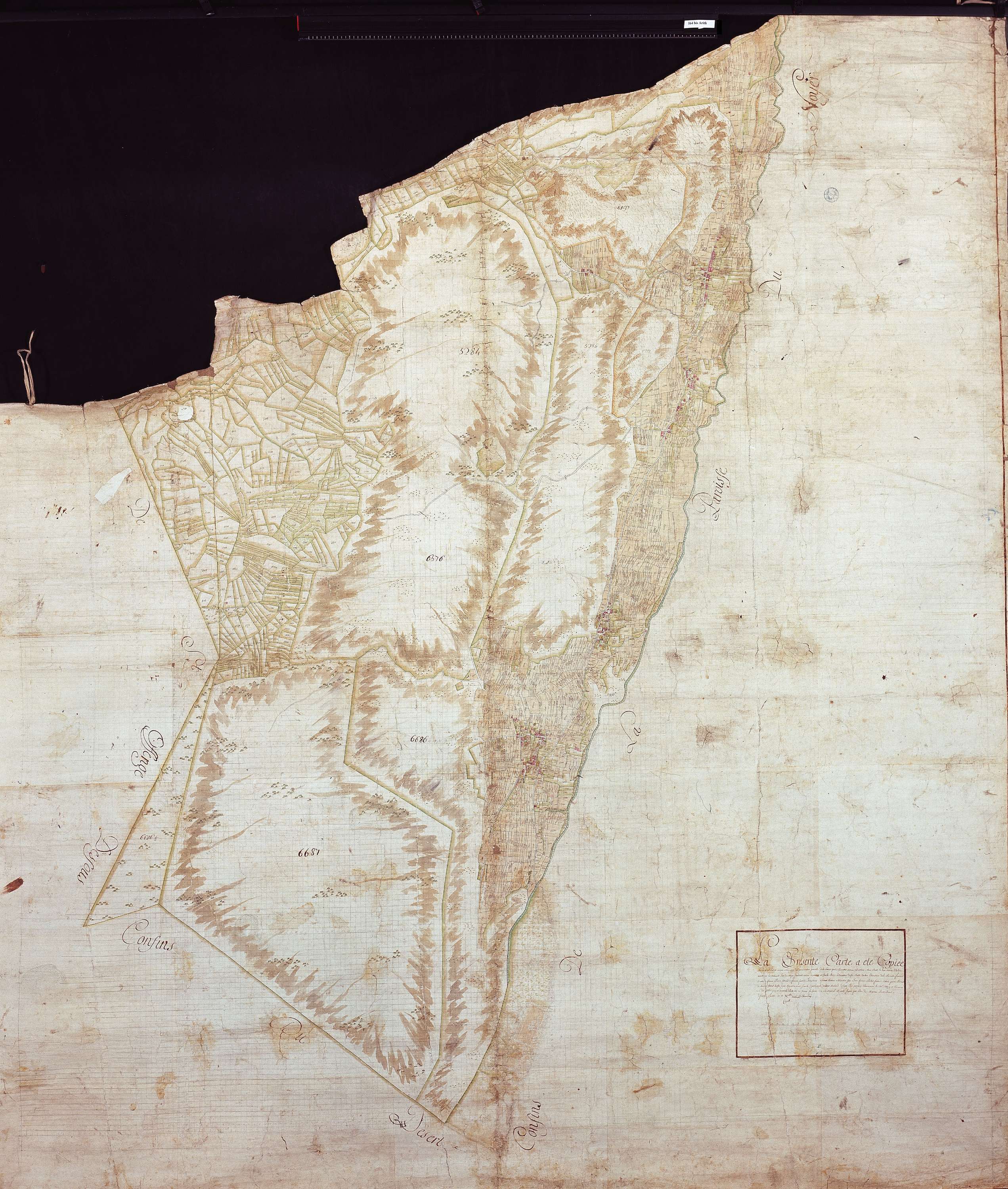 Arith - 164bis_g.jpg