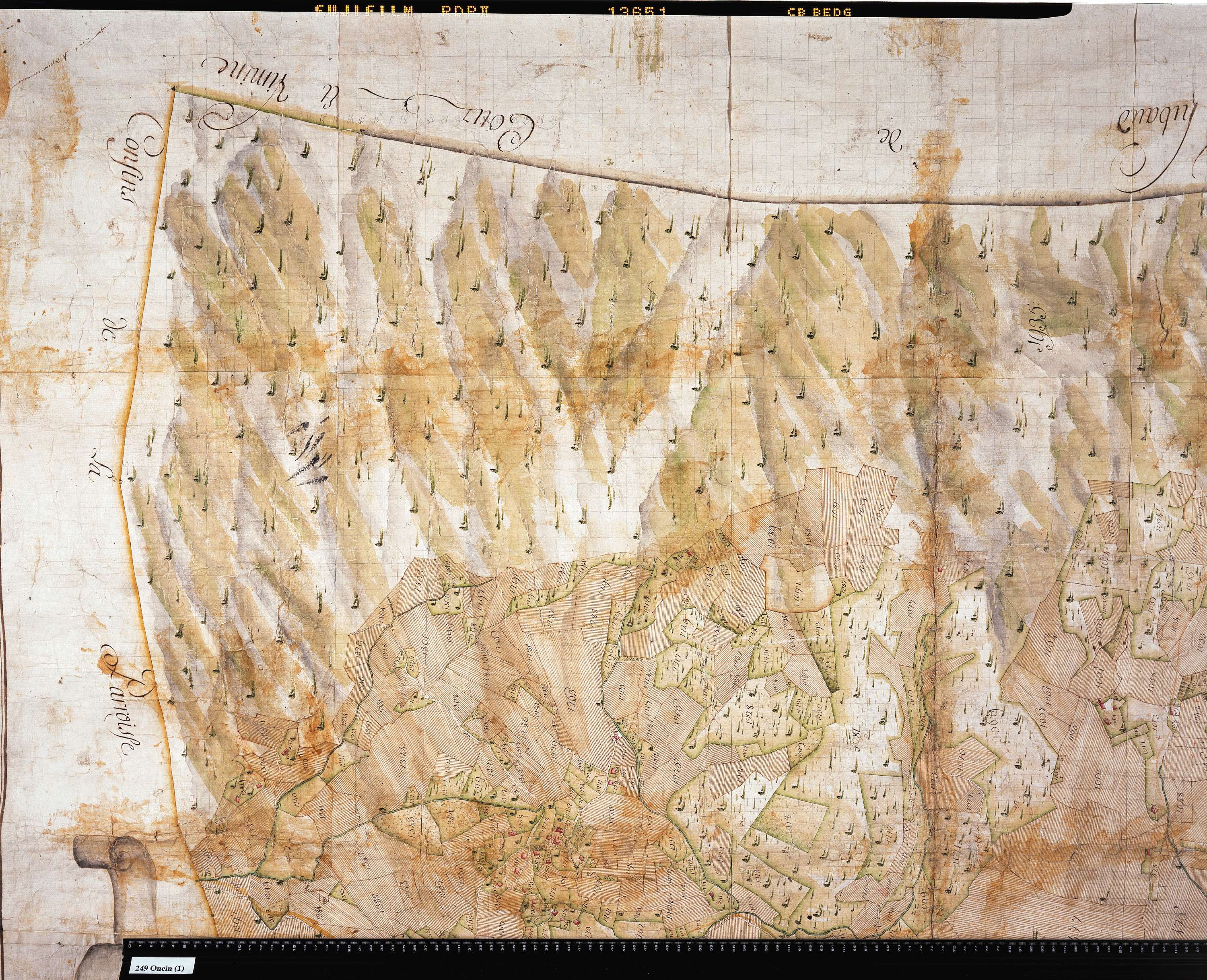 Attignat-Oncin - Copie de la mappe originale (plan cadastral) de la commune d'Oncin. Signée Cocelli, directeur de la péréquation.