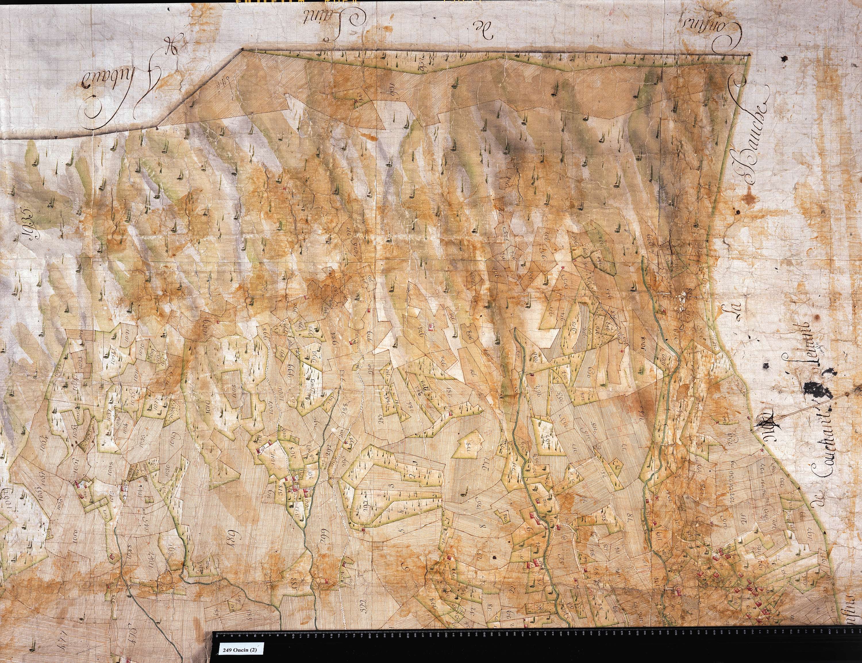 Attignat-Oncin - Copie de la mappe originale (plan cadastral) de la commune d'Oncin. Signée Cocelli, directeur de la péréquation.