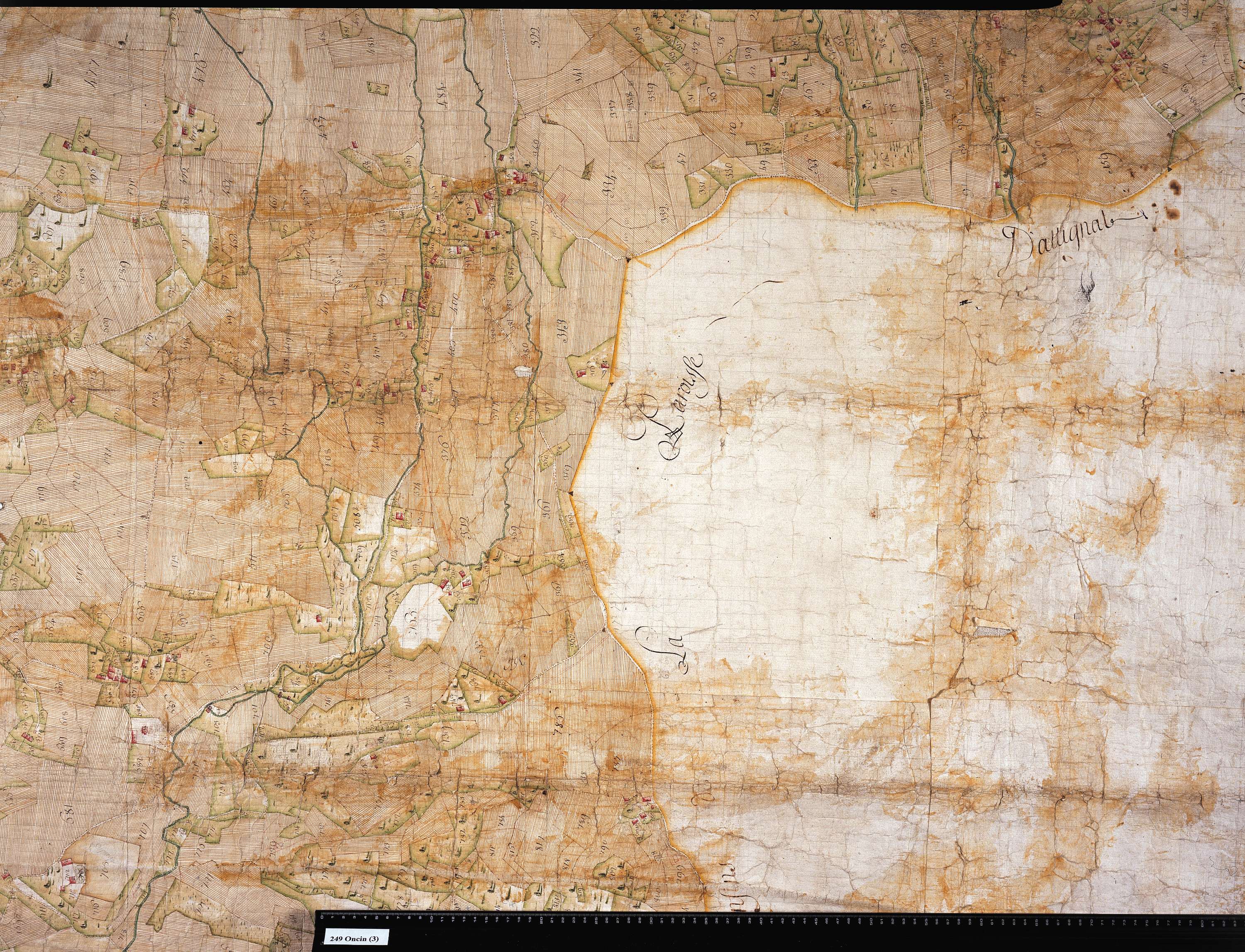 Attignat-Oncin - Copie de la mappe originale (plan cadastral) de la commune d'Oncin. Signée Cocelli, directeur de la péréquation.