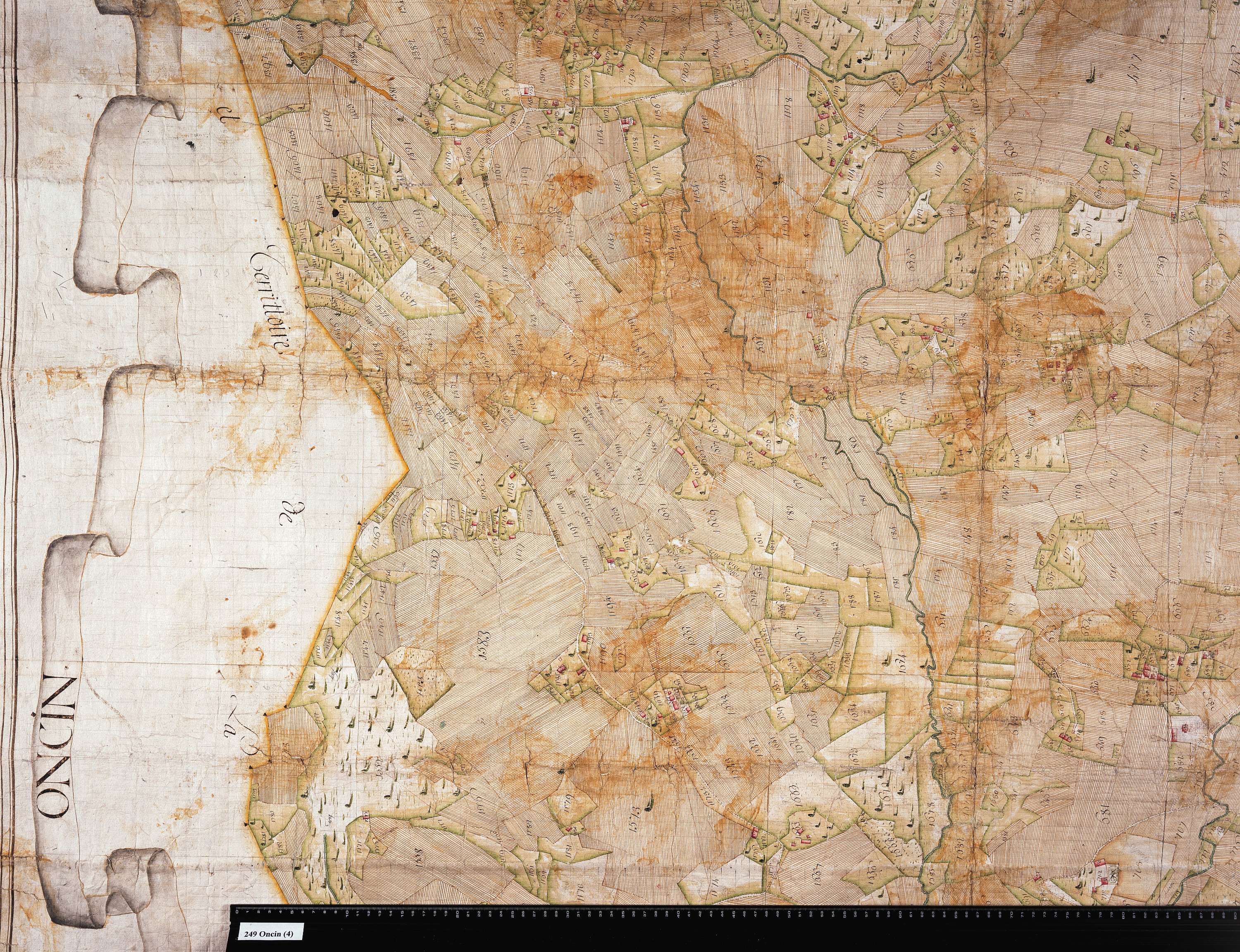 Attignat-Oncin - Copie de la mappe originale (plan cadastral) de la commune d'Oncin. Signée Cocelli, directeur de la péréquation.
